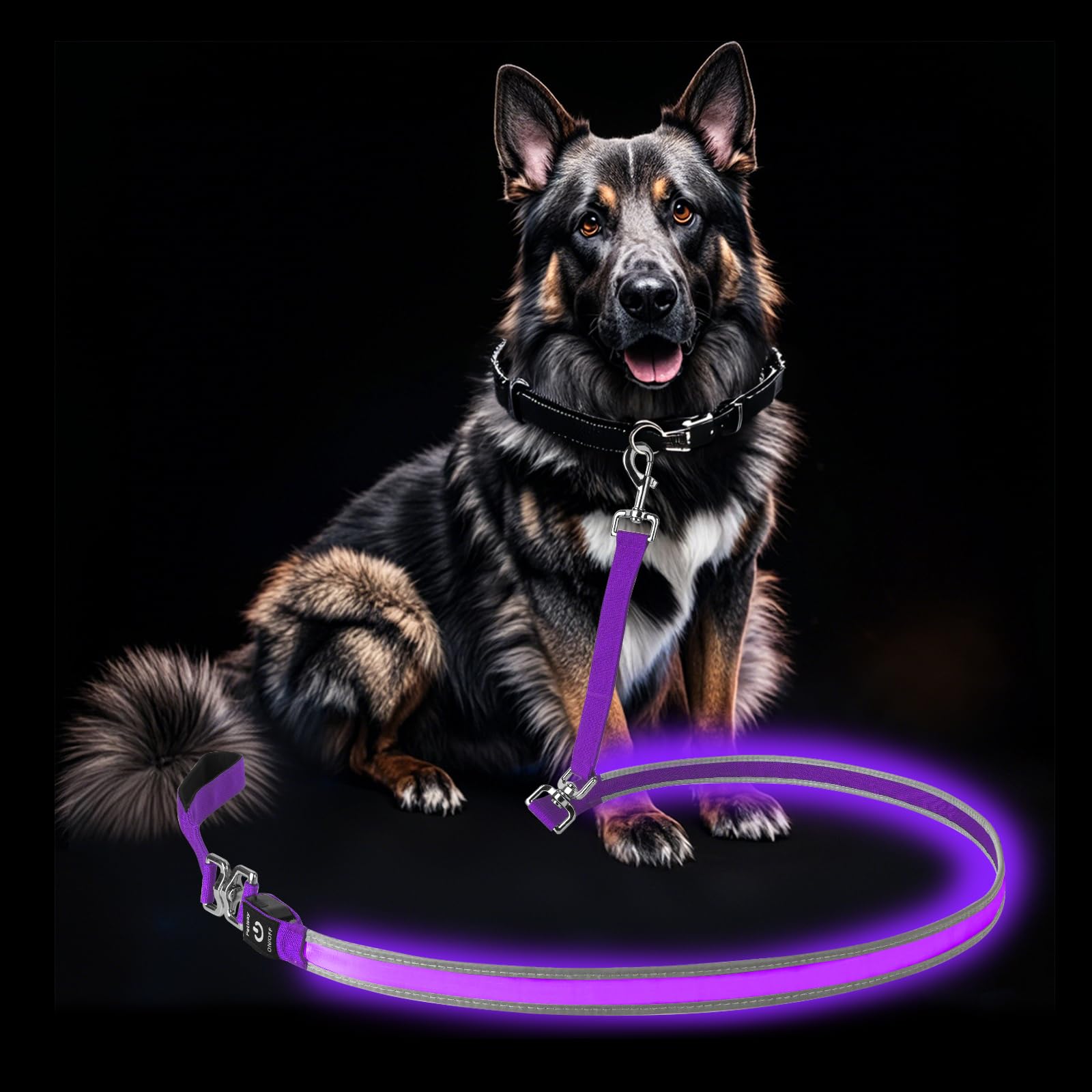 Petisay Led Dog Leash - Rechargeable, Waterproof & Reflective, 6Ft Tangle-Free For Night Walking(Purple)