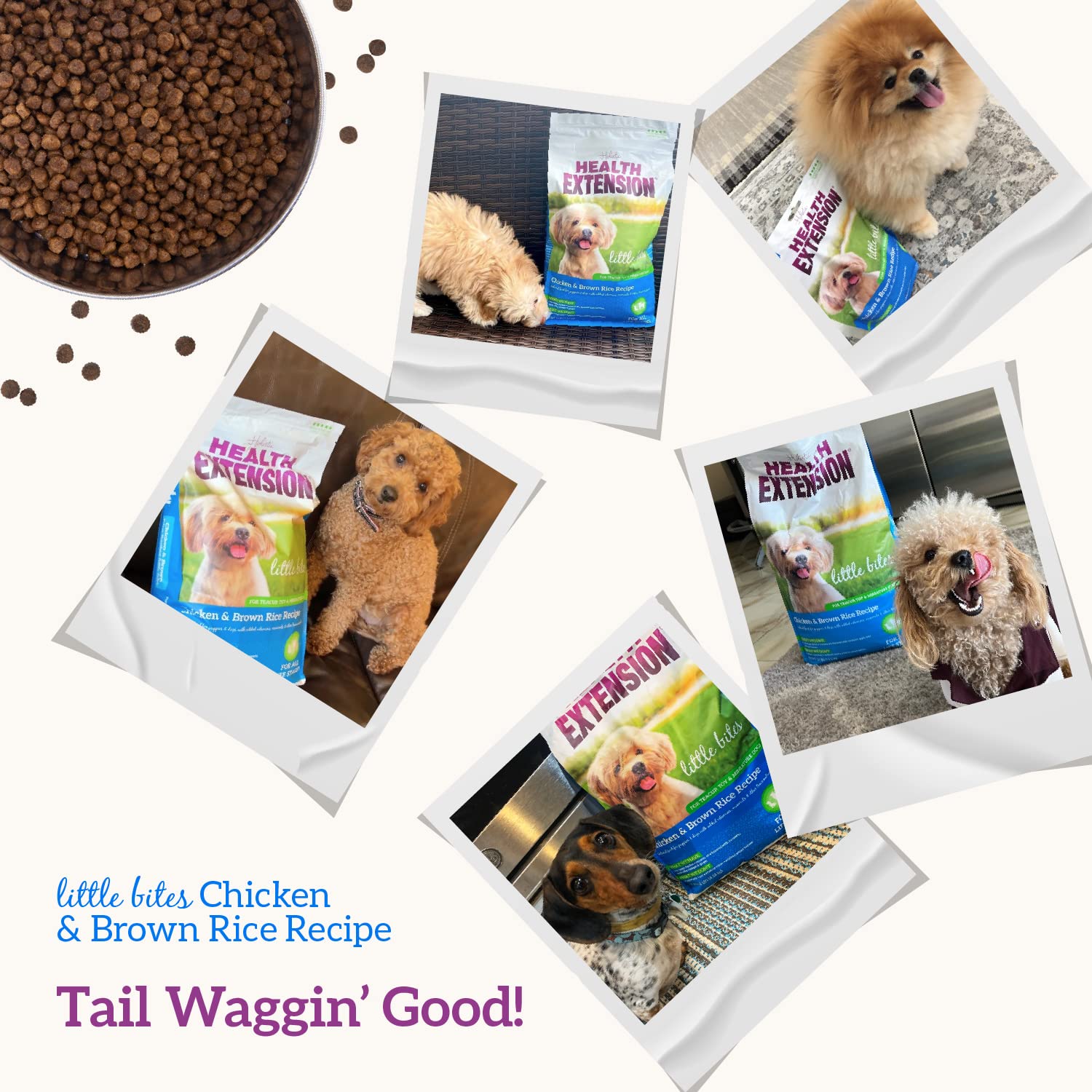 Health Extension Little Bites Chicken & Brown Rice Dry Dog Food (1 lb / 0.45 kg) - Natural with Probiotics and Superfoods for Te