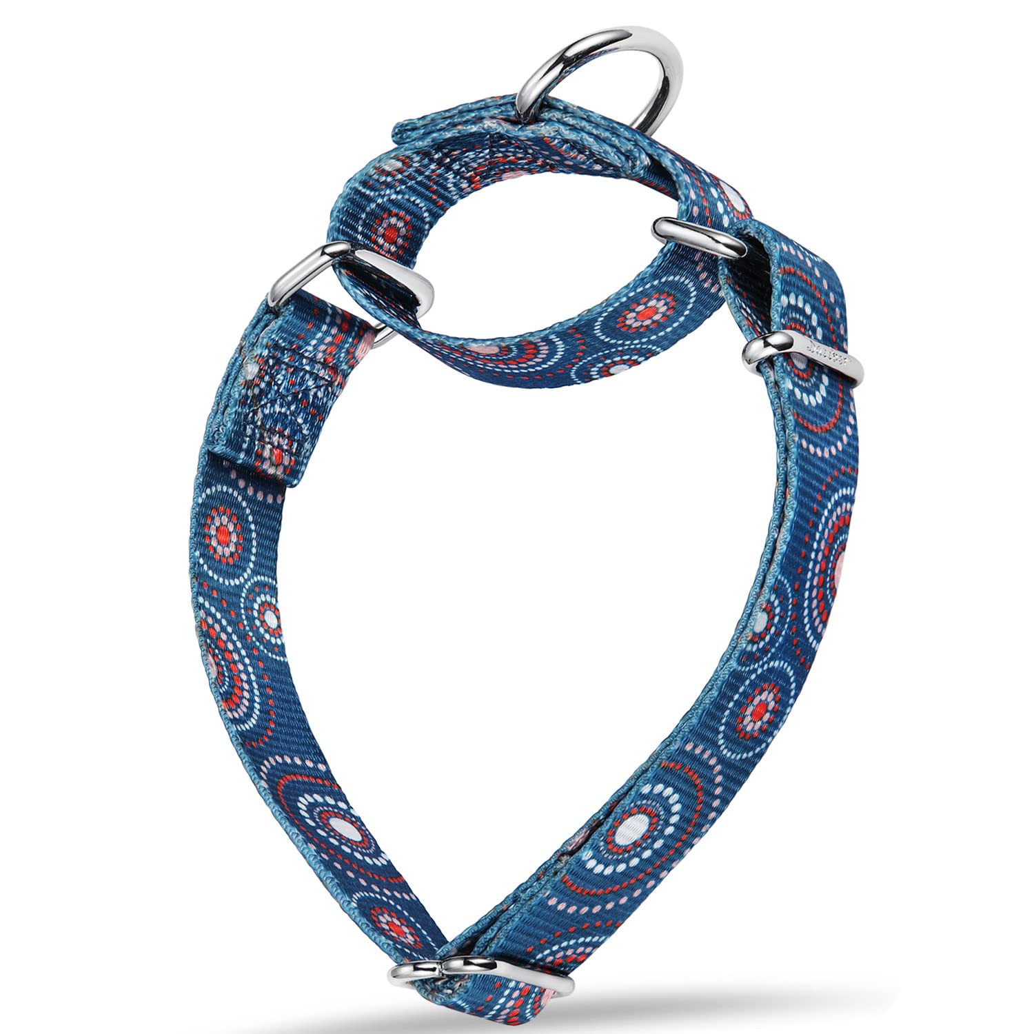 Dazzber Martingale Collar Floral Print Dog Collar, No Pull Pet Collar, Heavy Duty Adjustable Dog Collar, Medium, Neck 14 Inch To