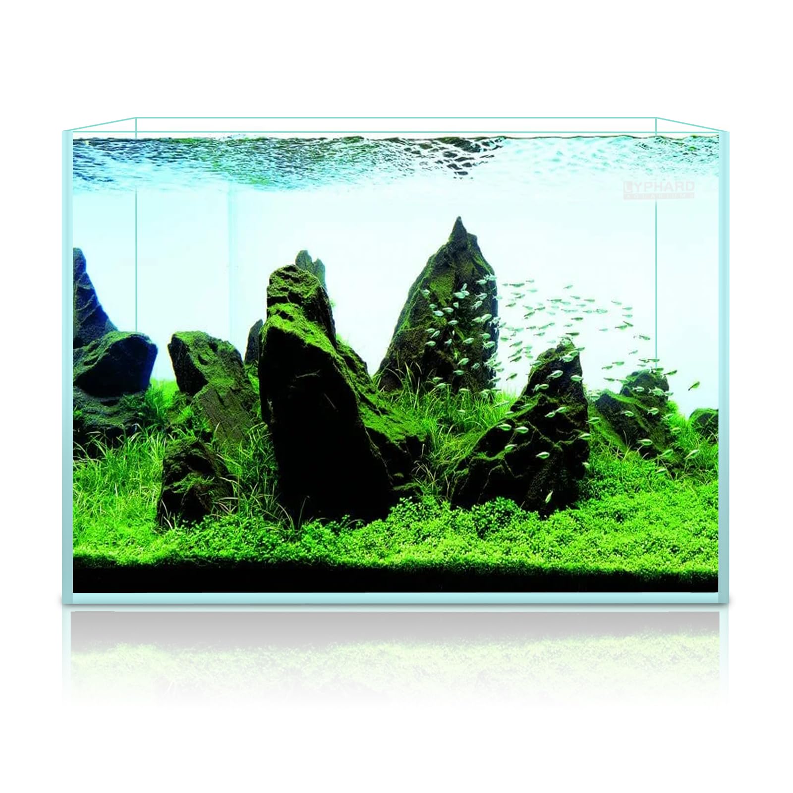 Lyphard Aquariums 9.5 Gallon Rimless Aquarium, Ultra Clear Glass Low Iron Small Fish Tank For Betta, L15.7×W11.8×H11.8 Inches Thickness 5Mm With Eva Foam Mat Included