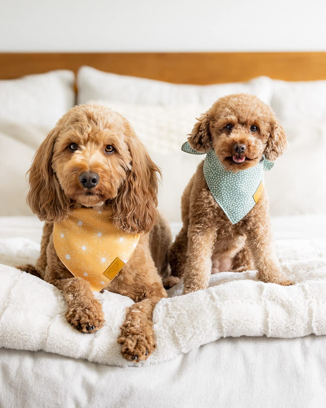 Remy+Roo Dog Bandanas - 4 Pack | Kathrine Set | Premium Durable Polyester Fabric | Custom Unique Shape | Adjustable Fit | Girl, Cooling, Puppy, Birthday | Small, Large, Xl Sizes Offered (Large)
