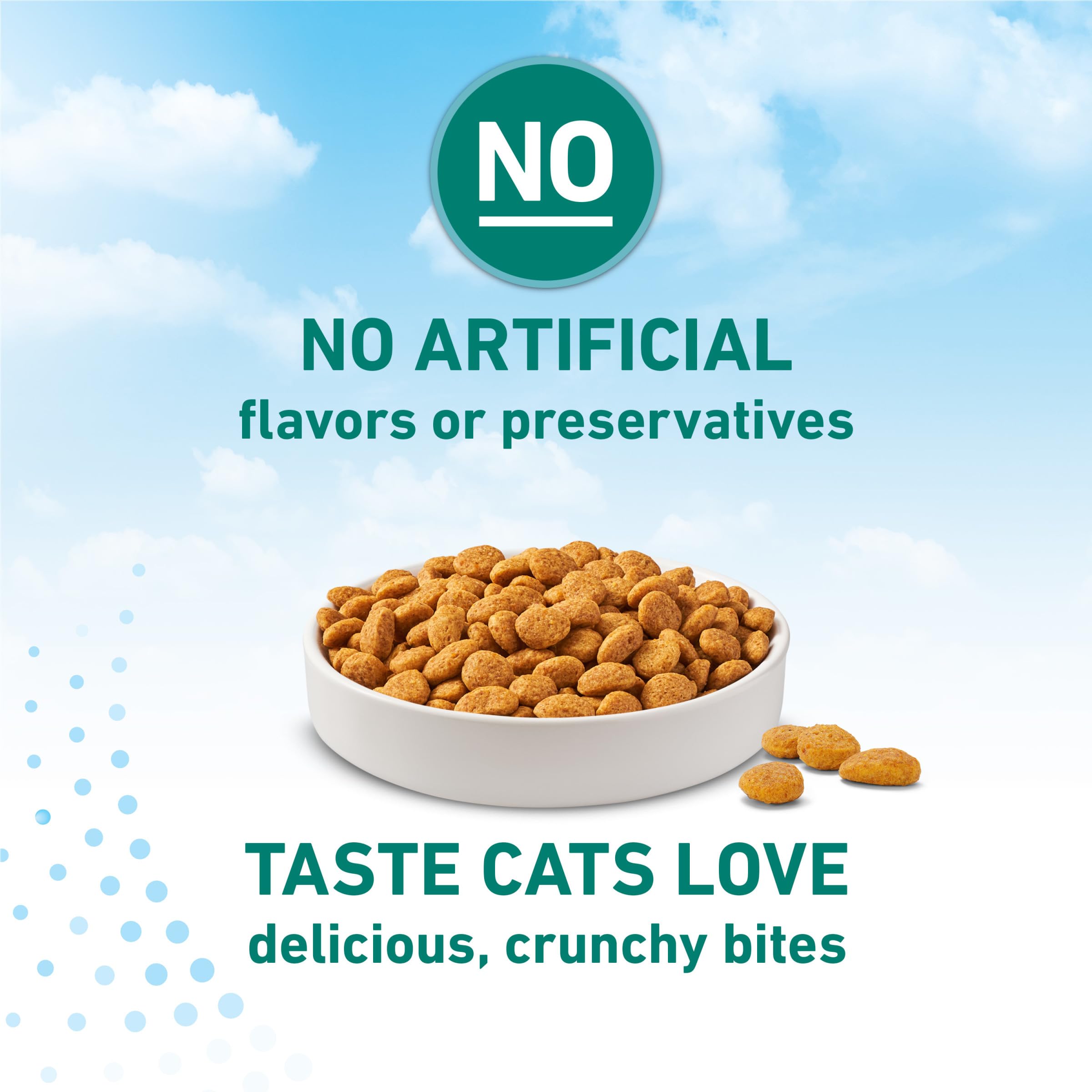Purina ONE LiveClear Allergen-Reducing Cat Food Dry Formula with Real Chicken As The Number One Ingredient - 6.3 lb. Bag