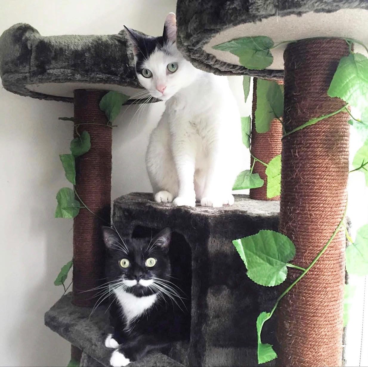 75'' Tall Cat Tree Tower With Condo And Green Leaves