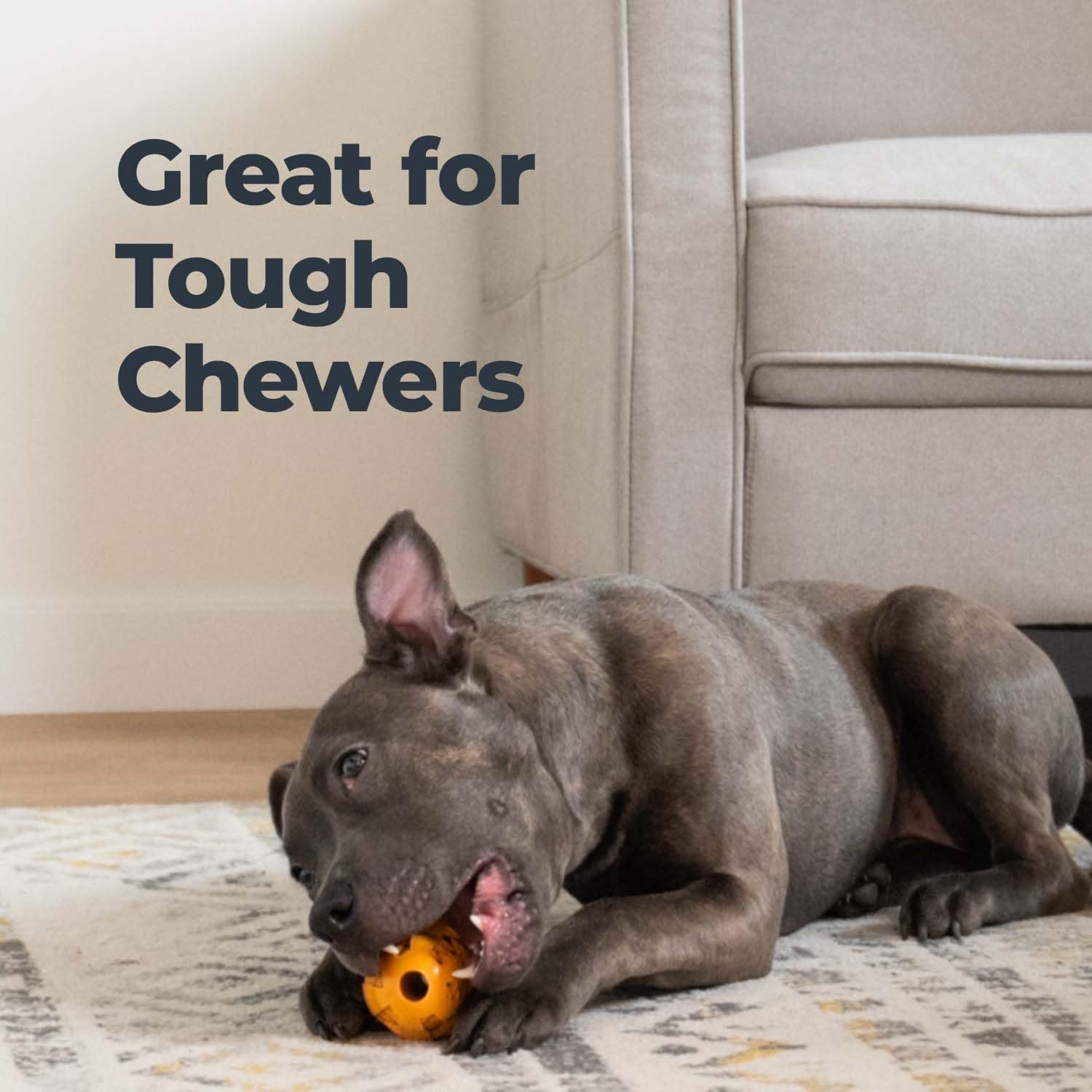 Oxyfresh Dog Dental Chew Toy - Best Durable Rubber Dog Toy & Puppy Teething Toy - Helps Remove Plaque, Cleans Teeth & Freshens B