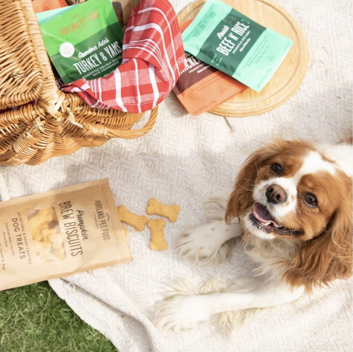 CRAFTED BY HUMANS LOVED BY DOGS Portland Pet Food Company Beef Broth Brew Biscuit Dog Treats (1 Pack, 5 oz Bag) - All Natural, H
