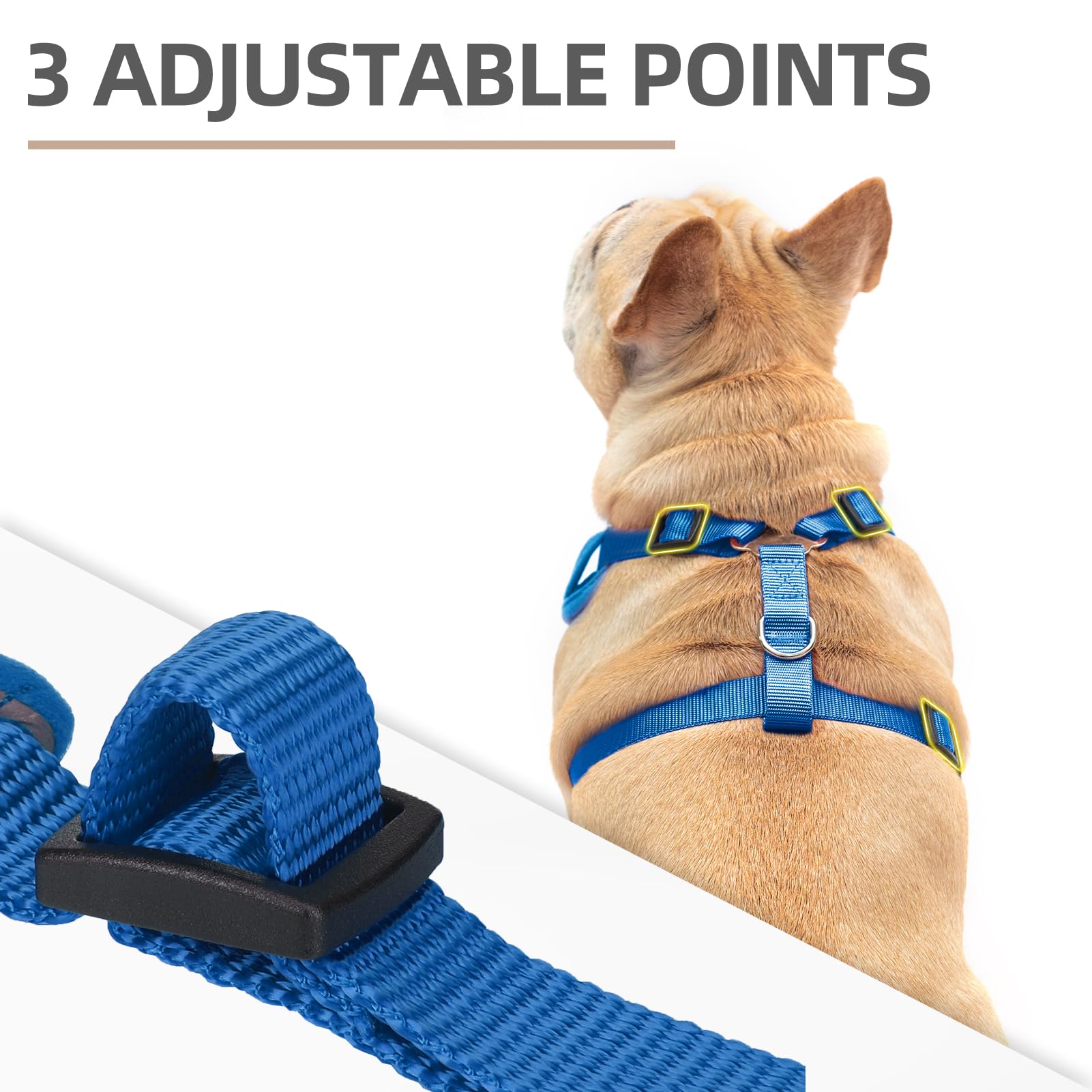 Pupteck Dog Harness And Leash Set For Small Medium Dogs No Pull, Soft Mesh Adjustable Puppy Cat Harness Reflective At Night, Dee