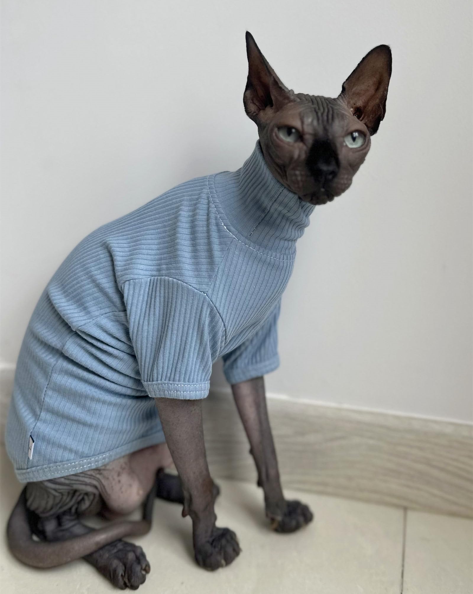 Sphynx Hairless Cats Shirt Cotton Cat Turtleneck Sweater Pullover Kitten T-Shirts With Sleeves Cat Pajamas Jumpsuit For Sphynx Cornish Rex, Devon Rex, Peterbald (Small (Pack Of 1), Sky Blue)