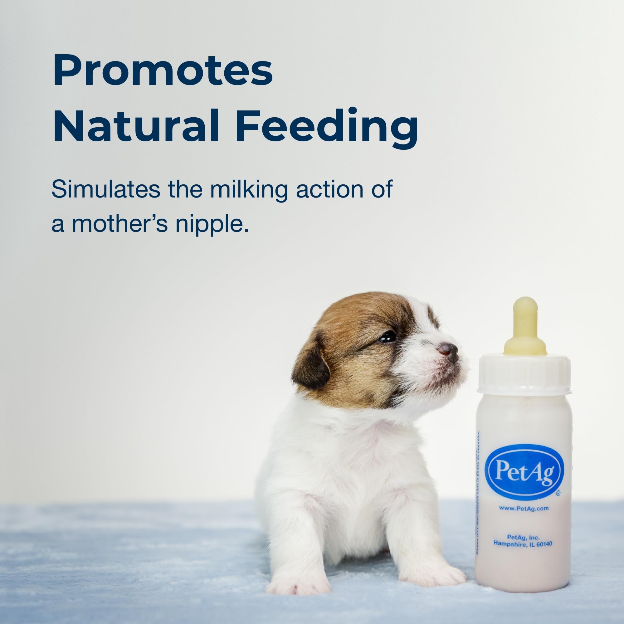 PetAg Nursing Kit - 4 oz Bottles with Nipples & Cleaning Brush - Pack of 2 for Baby Animals