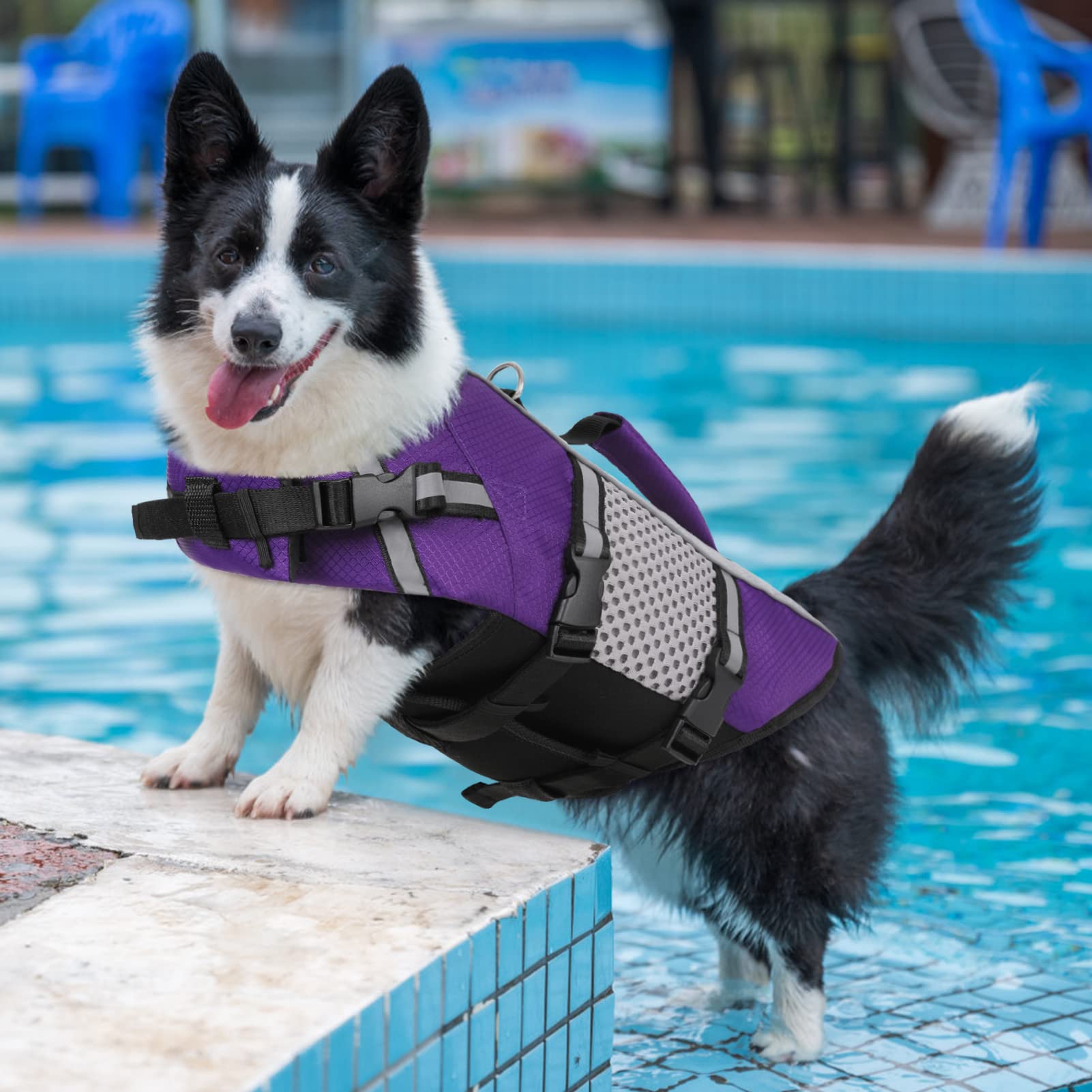 Dog Life Jacket Swimming Vest Lightweight High Reflective Pet Lifesaver With Lift Handle, Leash Ring Purple,Xs