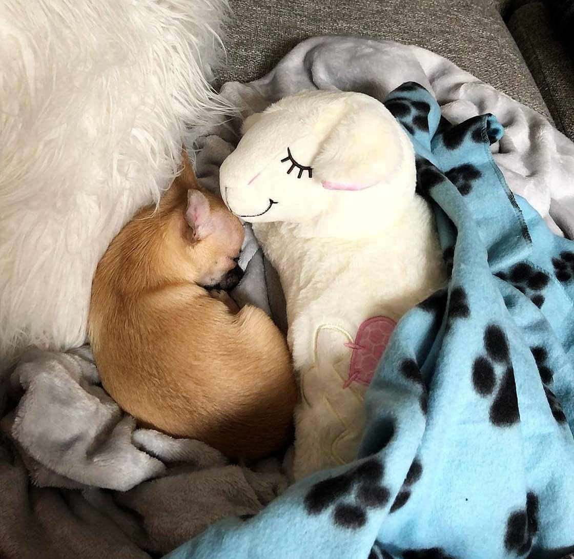 All For Paws Puppy Heartbeat Stuffed Animal Toy,Dog Anxiety Toys Soothing Dog Crate Snuggle Sleep Aid Plush Toys Comfort Toys