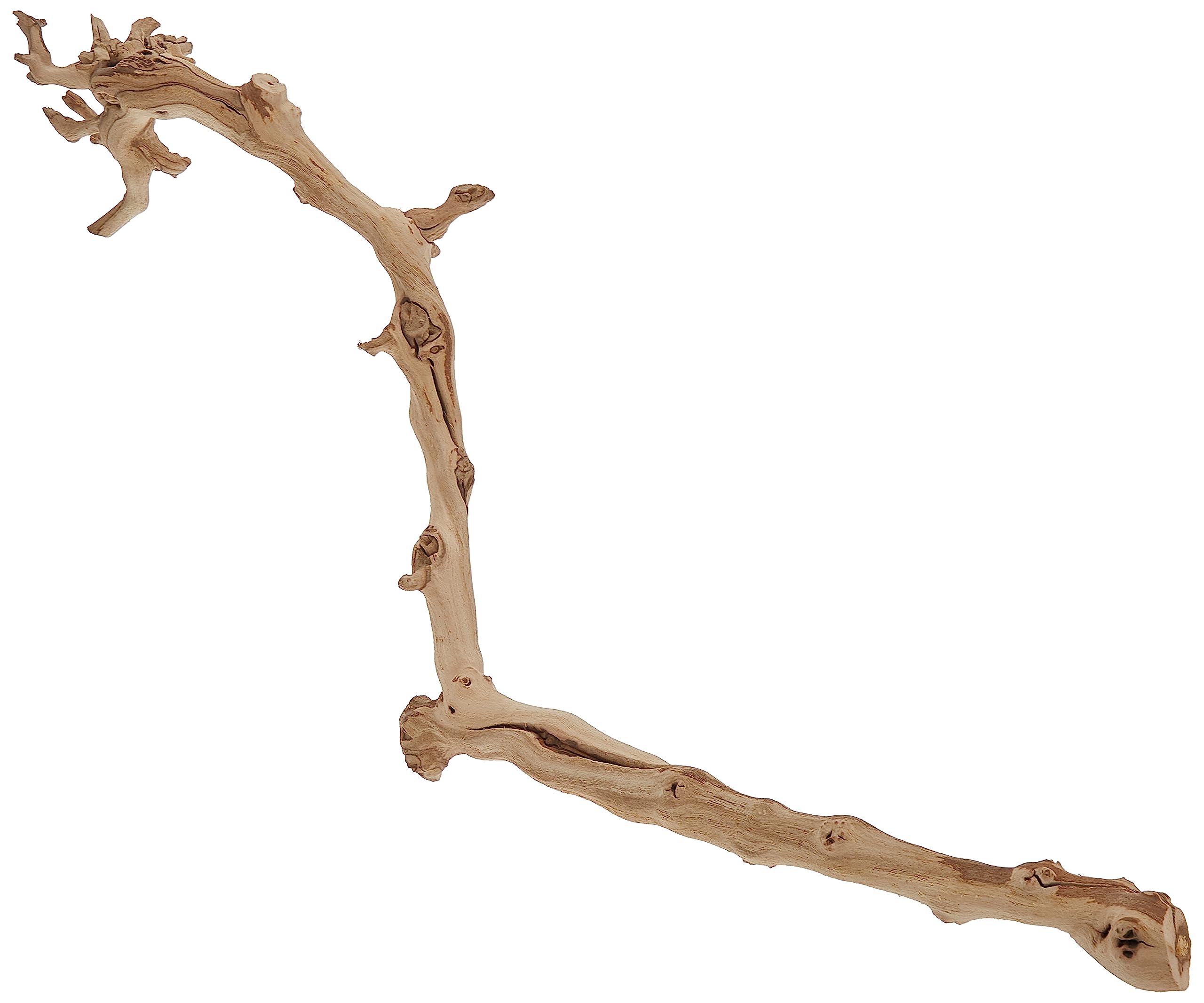 Exo Terra Forest Branch, Large