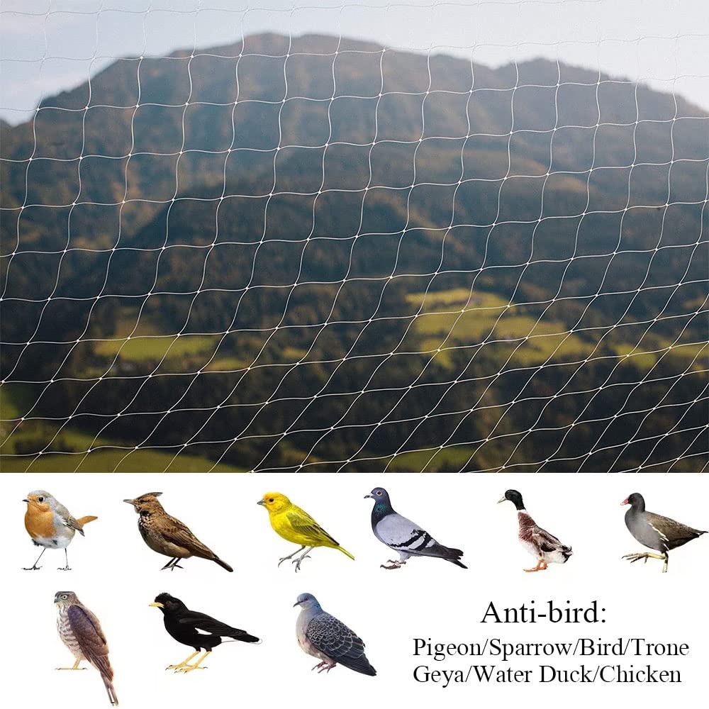 Jumxsrle Cat Netting Balcony, Uv & Weather-Resistant Cat Balcony Safety Net, Transparent Nylon Pet Mesh Fence Cat Netting For Pa