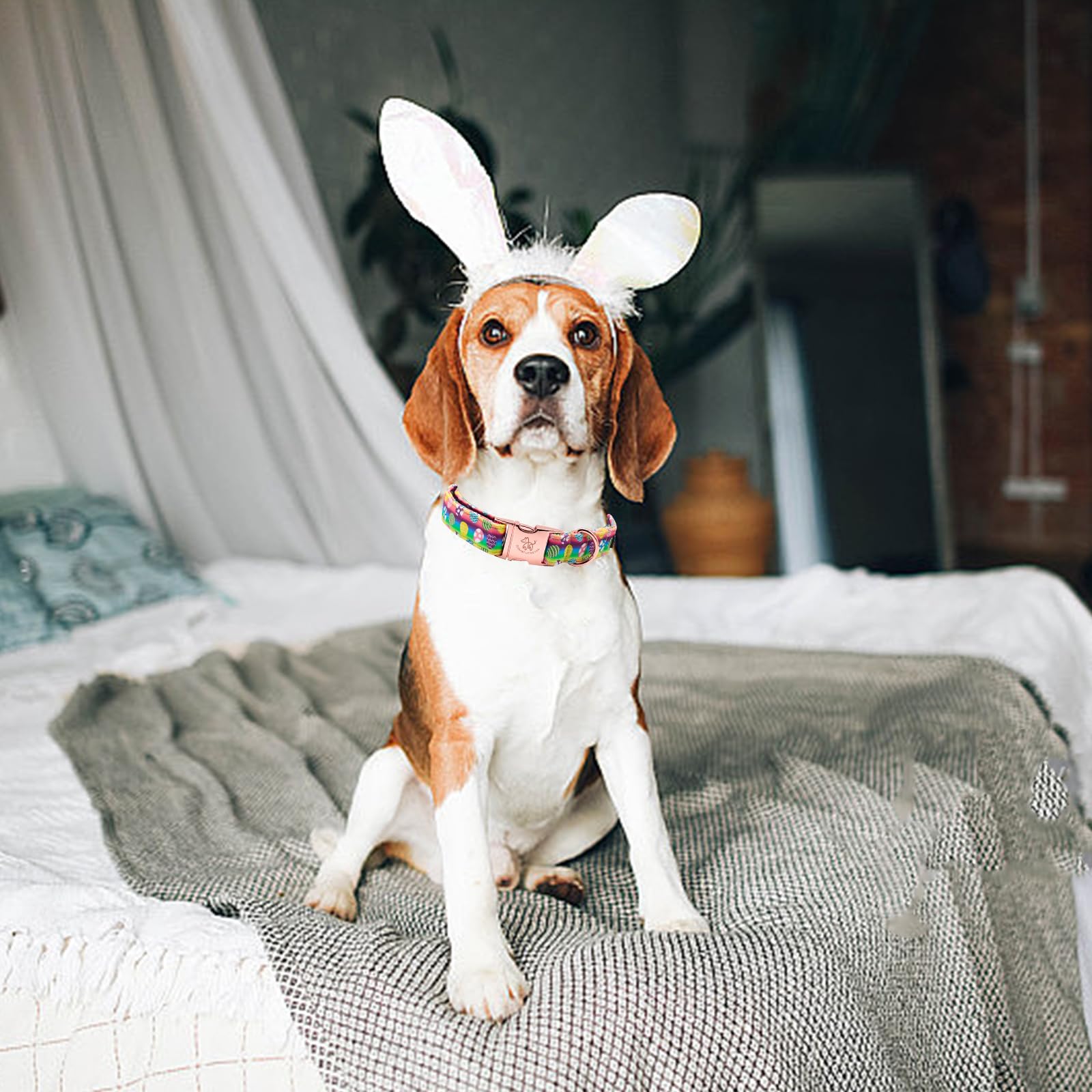 Elegant Little Tail Easter Dog Collar - Colorful Eggs Print, Adjustable for Medium Dogs