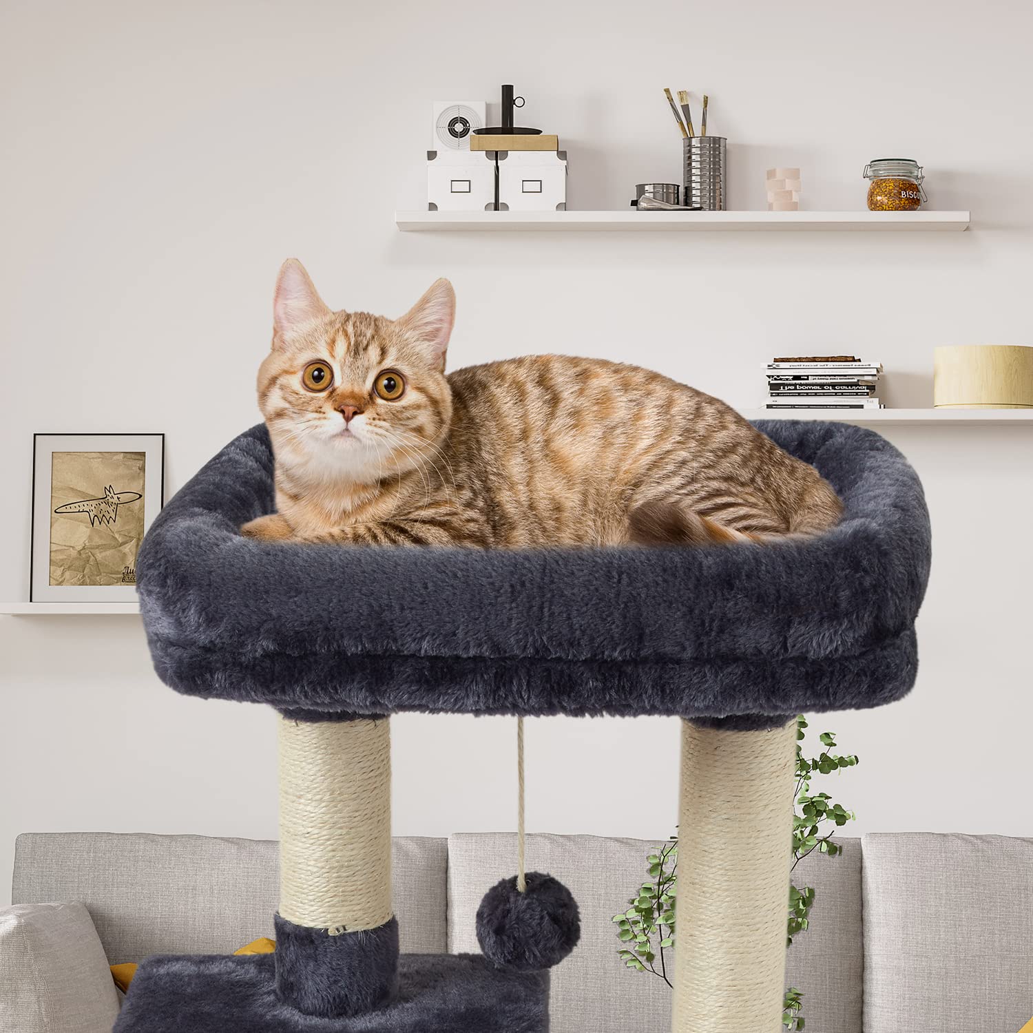 Fish&Nap Us11Yh Cute Cat Tree Kitten Cat Tower For Indoor Cat Condo Sisal Scratching Posts With Jump Platform Cat Furniture Activity Center Play House Smoky Grey