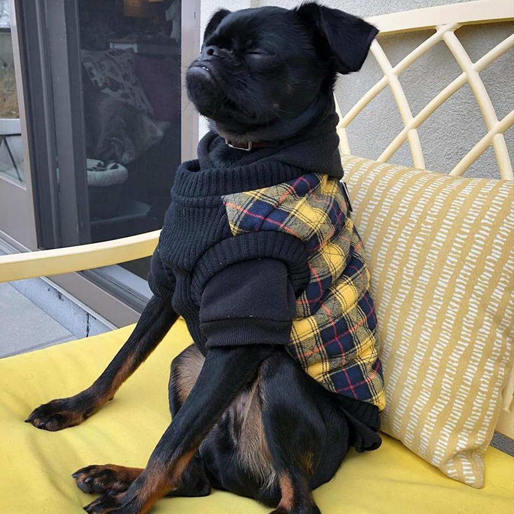 Gooby Fashion Vest Check Dog Jacket - Yellow Check, X-Small - Warm Zip Up Dog Bomber Vest Dual D Ring Leash - Winter Water Resistant Small Dog Sweater - Dog Clothes For Small Dogs Boy Or Medium Dogs
