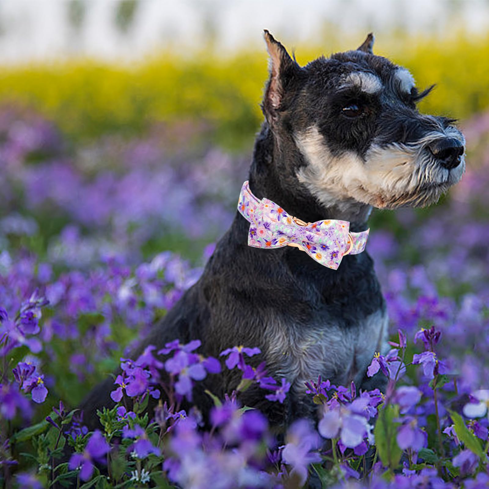 Elegant little tail Dog Collar, Rose Print Pet Collar Summer Dog Collar Durable Metal Buckle Dog Collars Cotton Pet Adjustable D