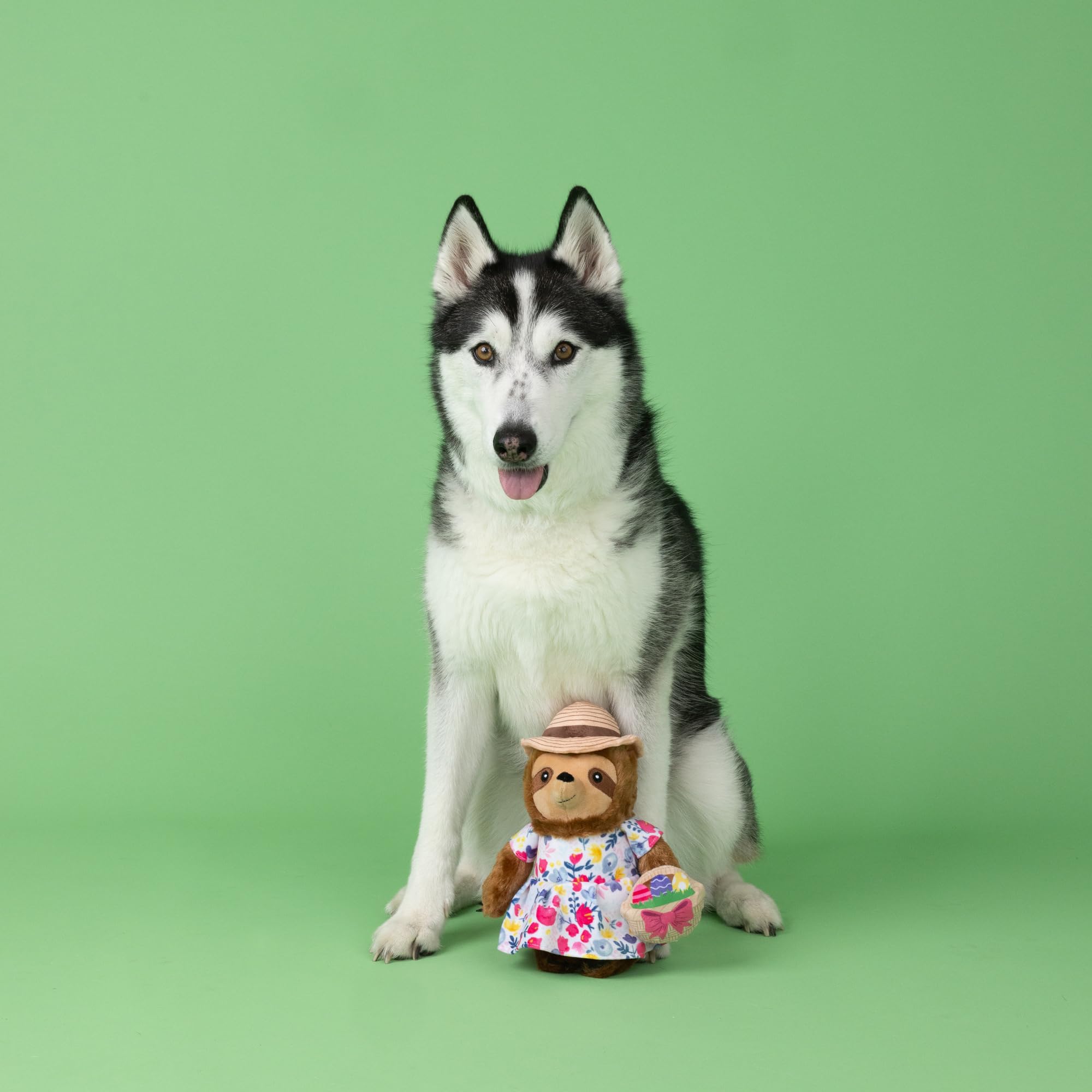 Fringe Studio Plush Dog Toy, SundayS Best, Petshop Collection (314317)