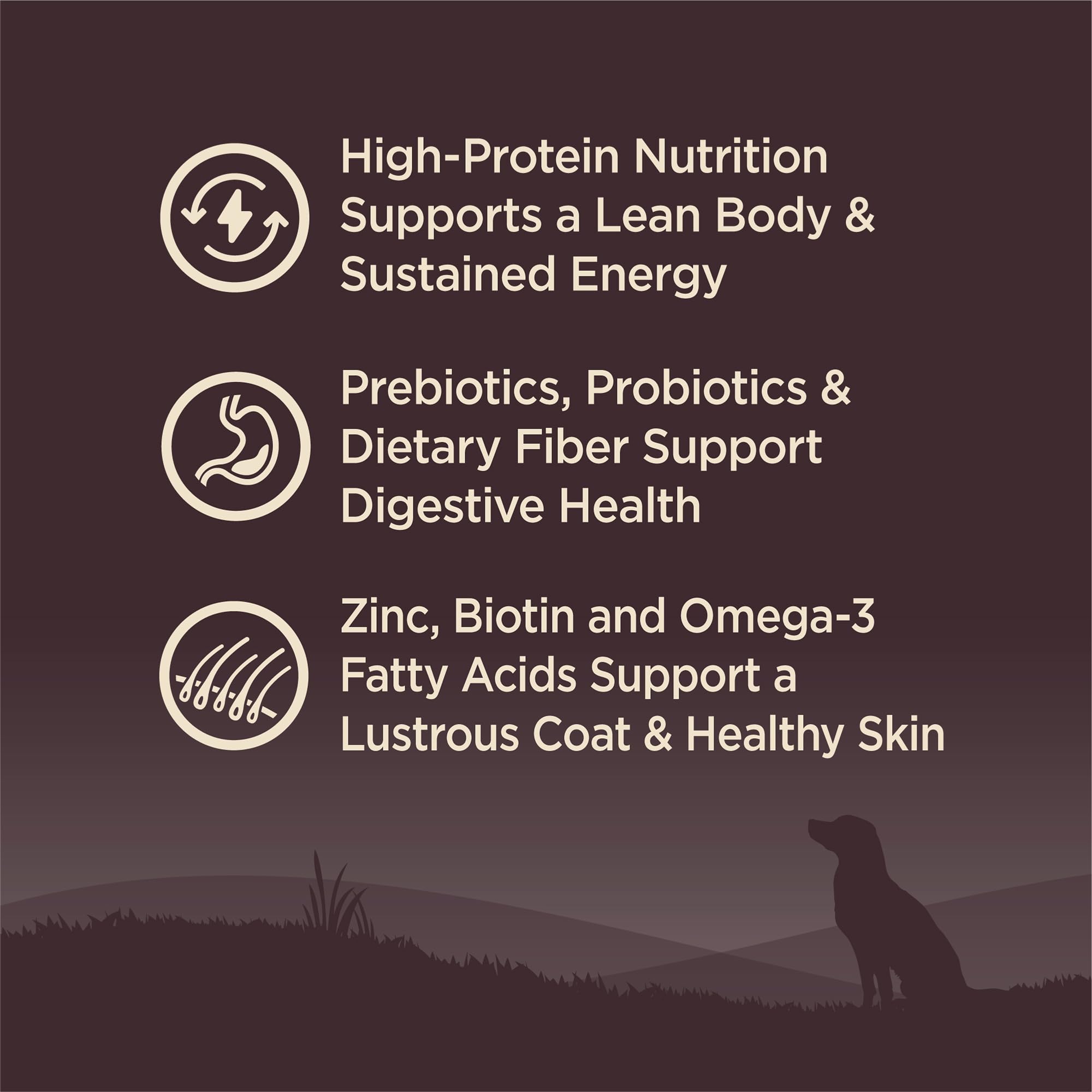 Wellness Natural Pet Food CORE Grain-Free High-Protein Small Breed Dry Dog Food, Natural Ingredients, Made in USA with Real Meat