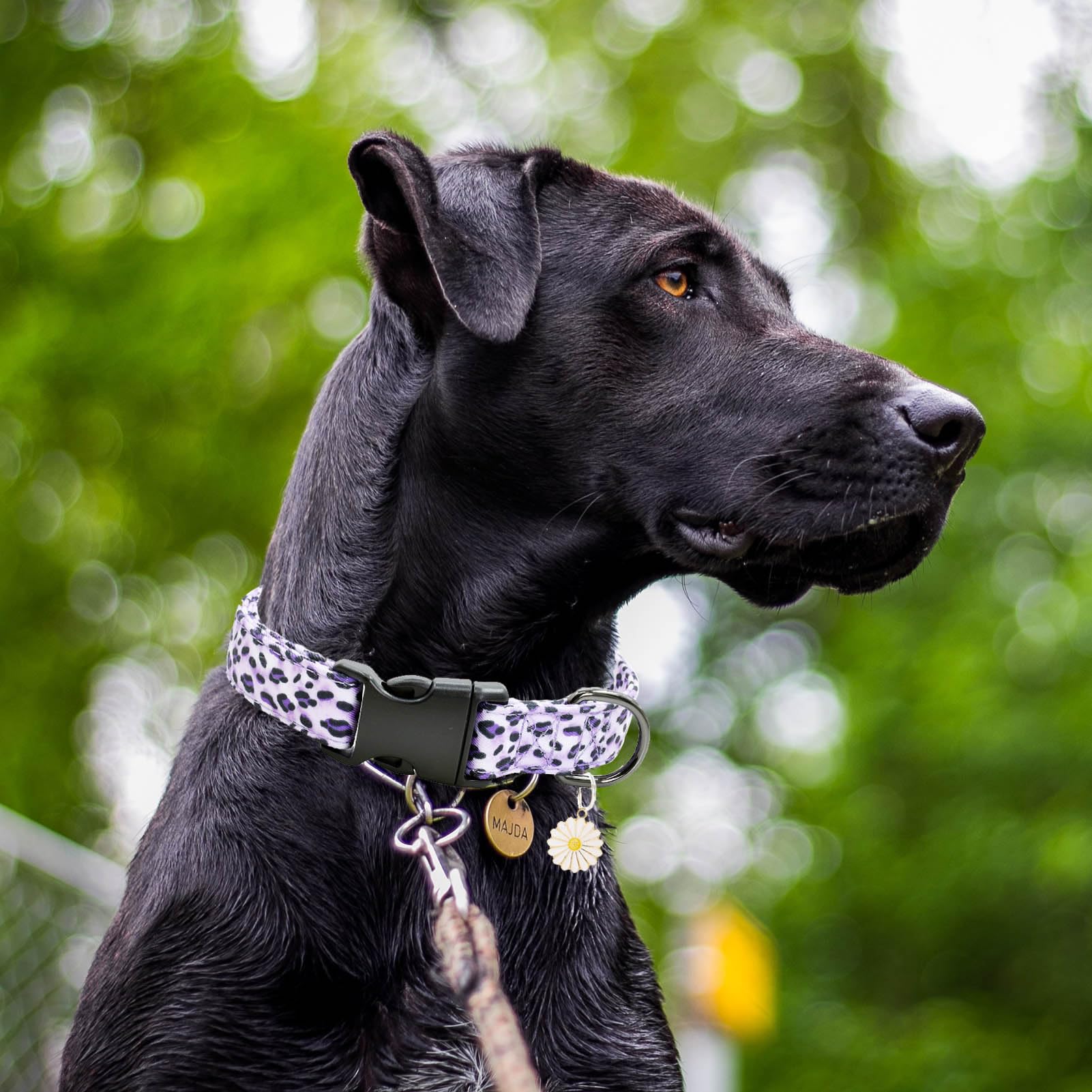 2 Pcs Cotton Dog Collar Soft Cute Flower -3 Sizes Soft Nylon Puppy Collar Adjustable For Girl Female Small Medium Large Dogs(04L