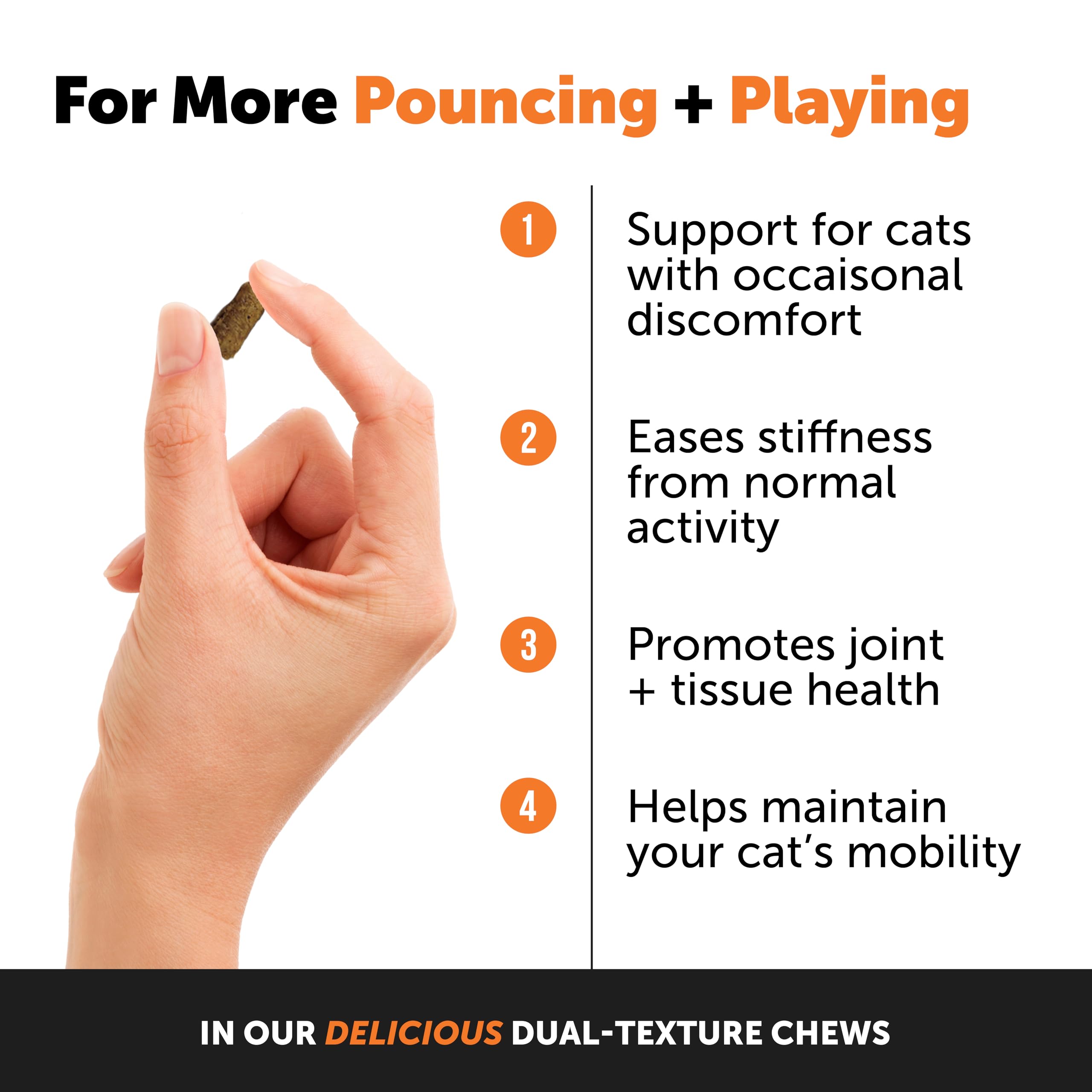 Pet Honesty Cat Hip & Joint Health Chews - Glucosamine For Cats, Cat Joint Support Supplement, Cat Health Supplies & Hip Support, Cat Vitamins For Indoor Cats & Outdoor Cats - Chicken (30-Day Supply)