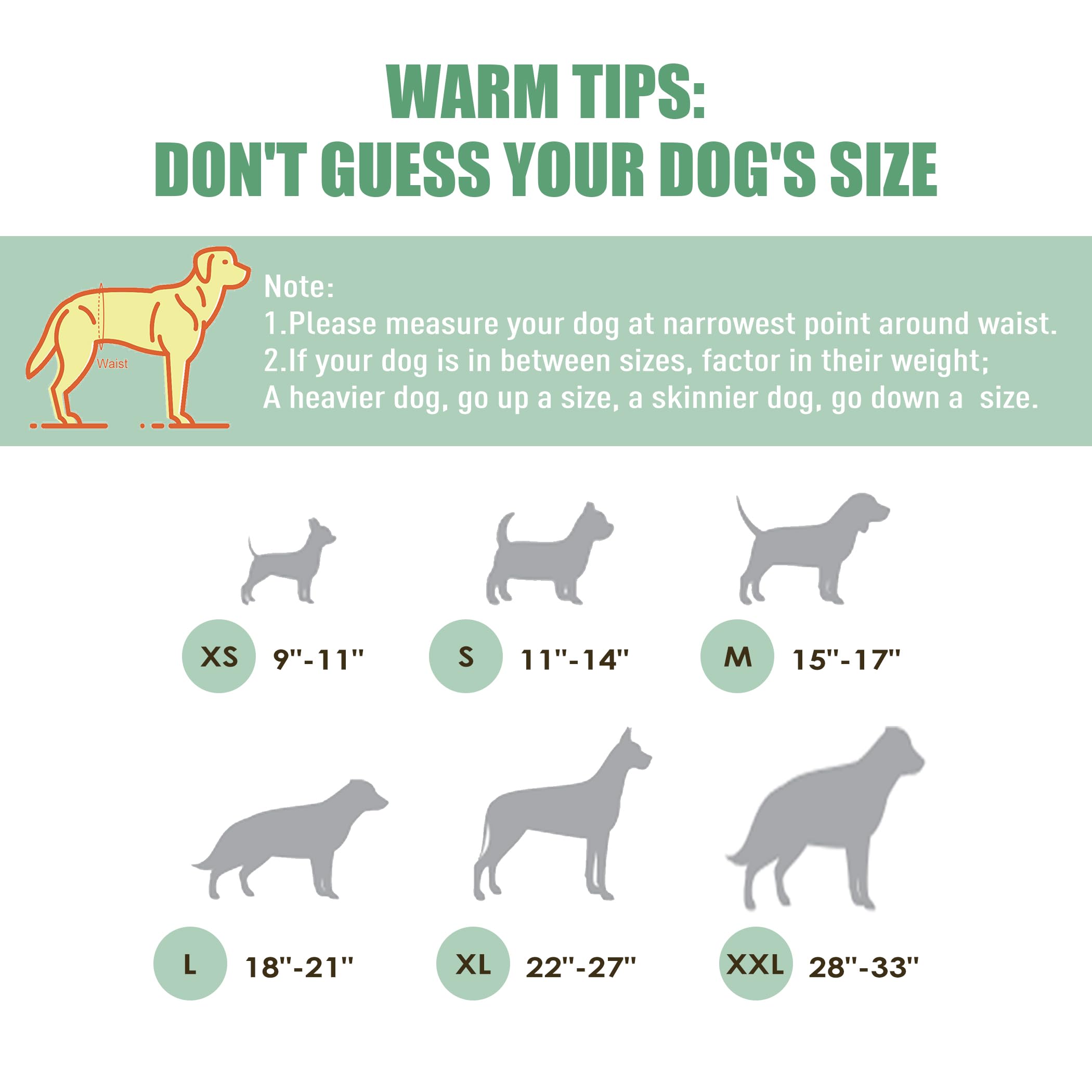 Wegreeco Washable Male Dog Belly Band (Stylish Pattern)- Pack Of 3 - Washable Male Dog Belly Wrap, Dog Diapers Male (Ocean Adven