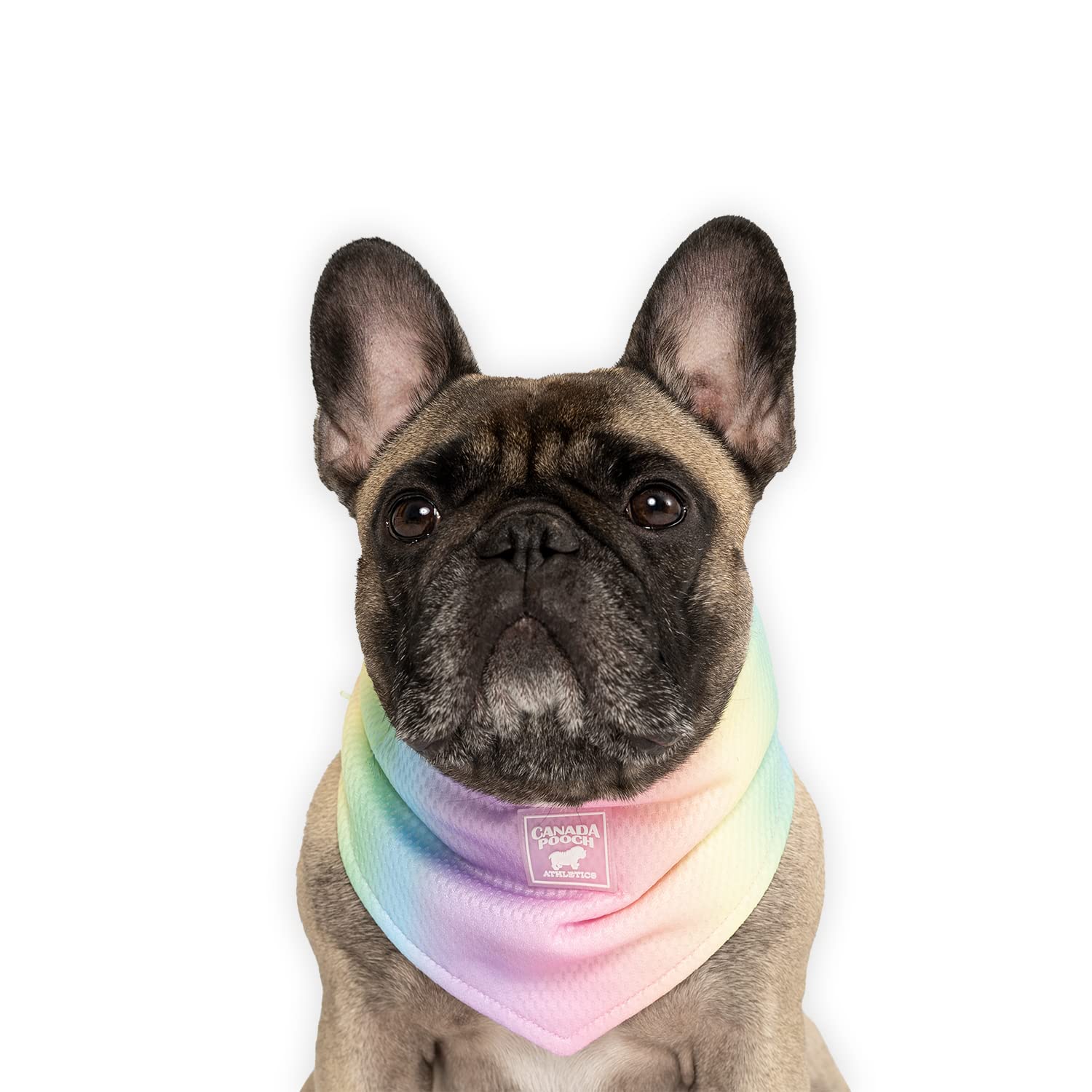 Canada Pooch Cooling Bandana For Dogs - Evaporative Cooling Dog Bandana With Breathable Mesh Material For Hot Days, Adjustable D