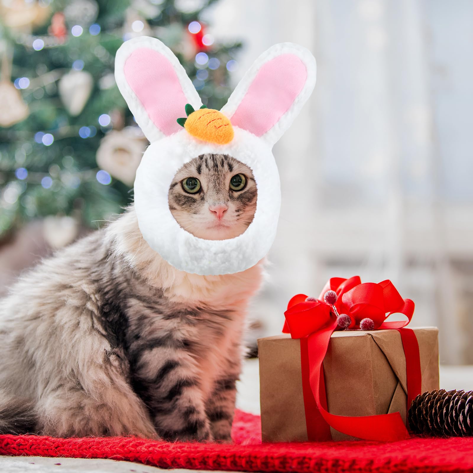 Weewooday 5 Pcs Cat Adorable Costume Bunny Hat With Ears Funny Mane Cat Hat For Pets And Small Dogs Kitten Puppy Party Costume A