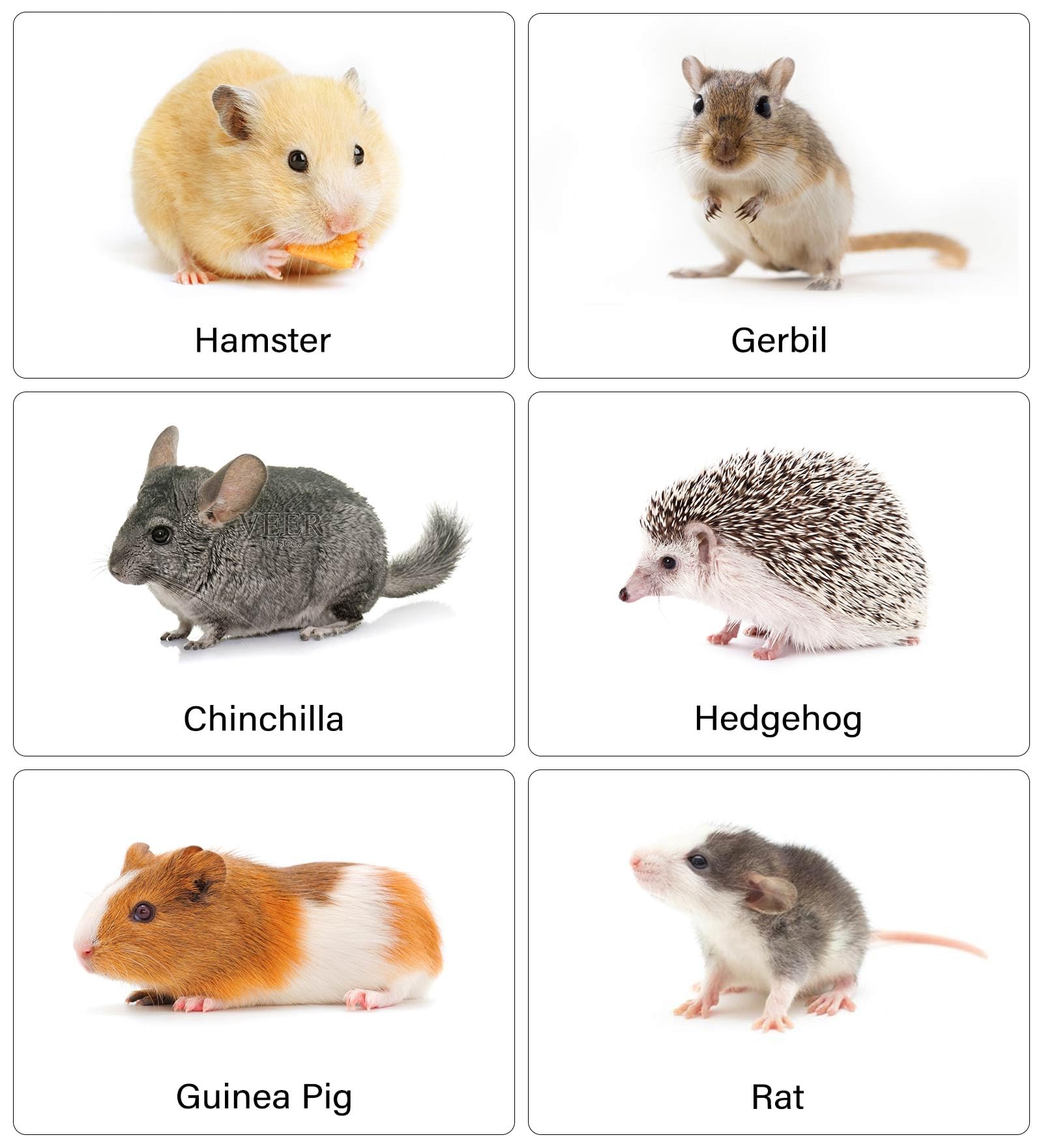 Cutomo Ceramic Litter Box For Small Pets, Tip-Proof, Chew-Resistant, Ideal For Hamster, Guinea Pig, Sugar Glider, Hedgehog, Syri