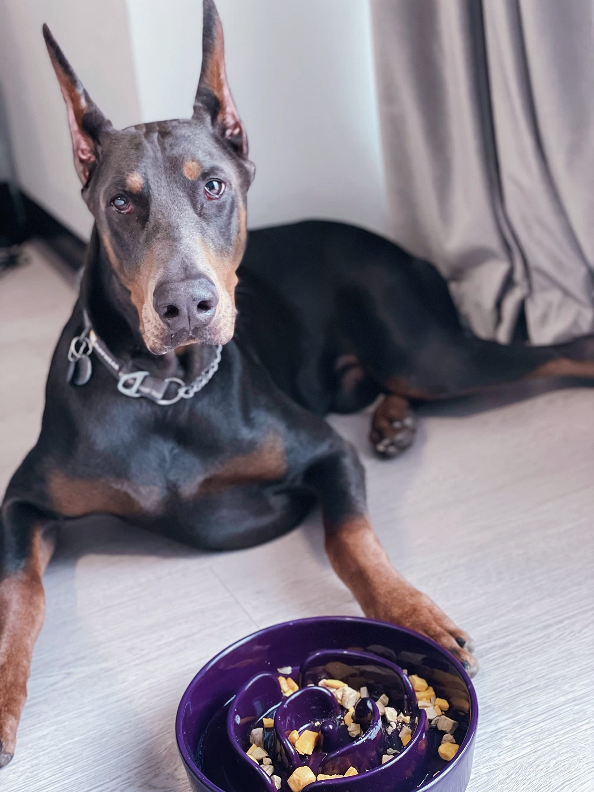 LE TAUCI Slow Feeder Dog Bowls Ceramic, 3 Cups Slow Feeding Dog Bowl Medium Large Breed, Maze Dog Bowl for Fast Eaters, Dog Dish