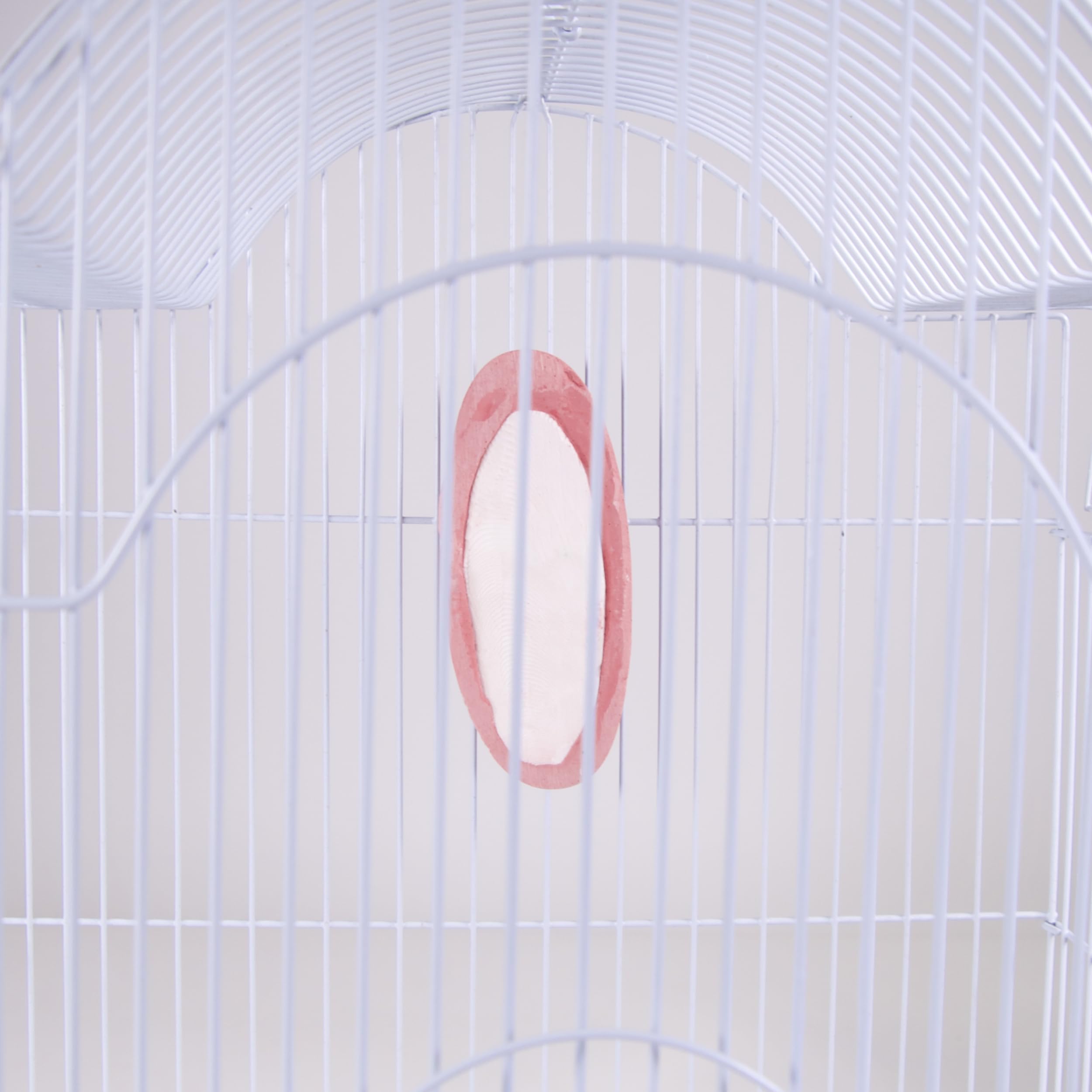 Penn-Plax Bird-Life 2-in-1 E-Cuttlebone & Mineral Block - Berry Flavor - Great for All Birds - 1 Pack