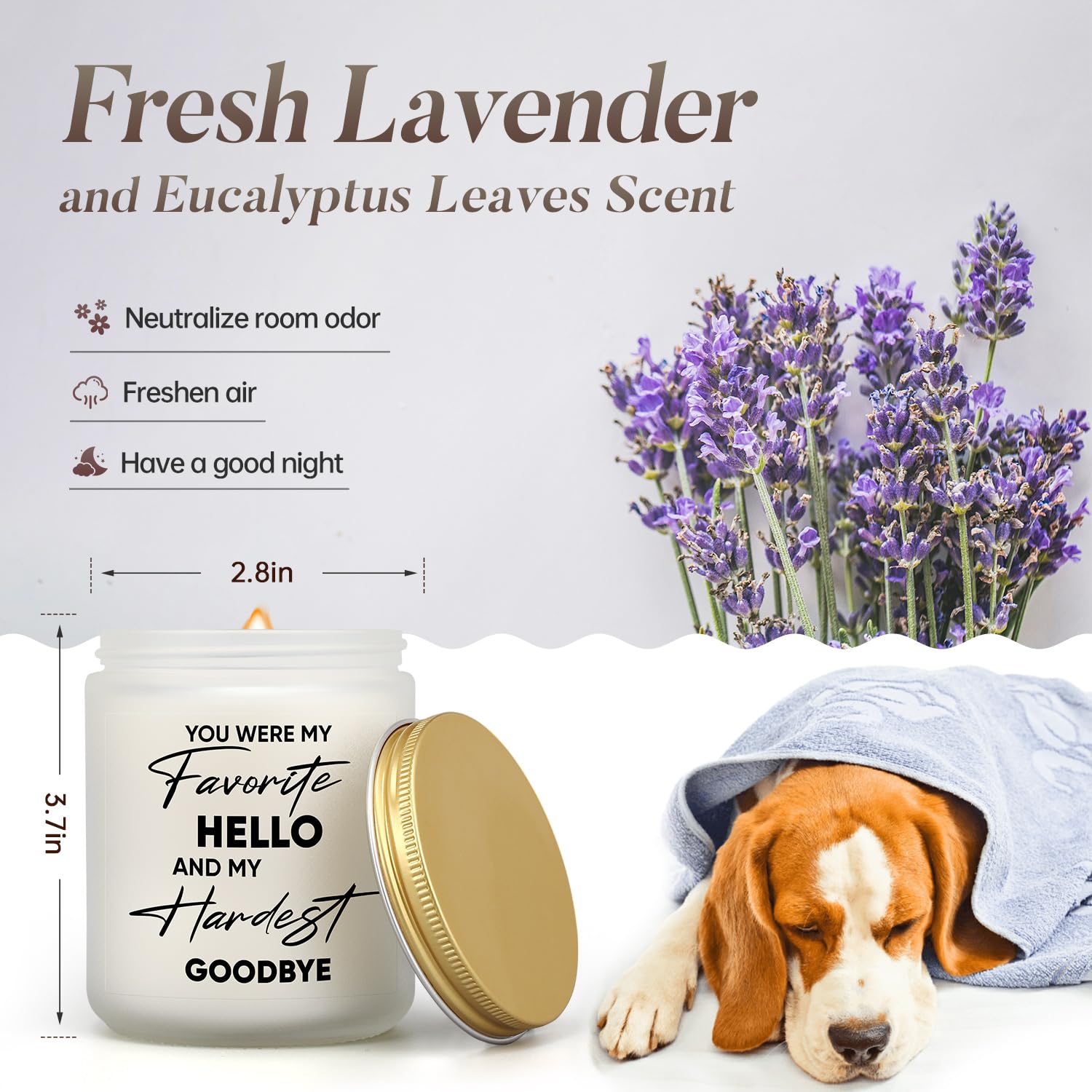 Pet Memorial Gifts For Loss Of Dog Cat, Sympathy For Pets Loss, Dog Bereavement Remembrance Gift In Memory Of Dogs, Cat Memorial