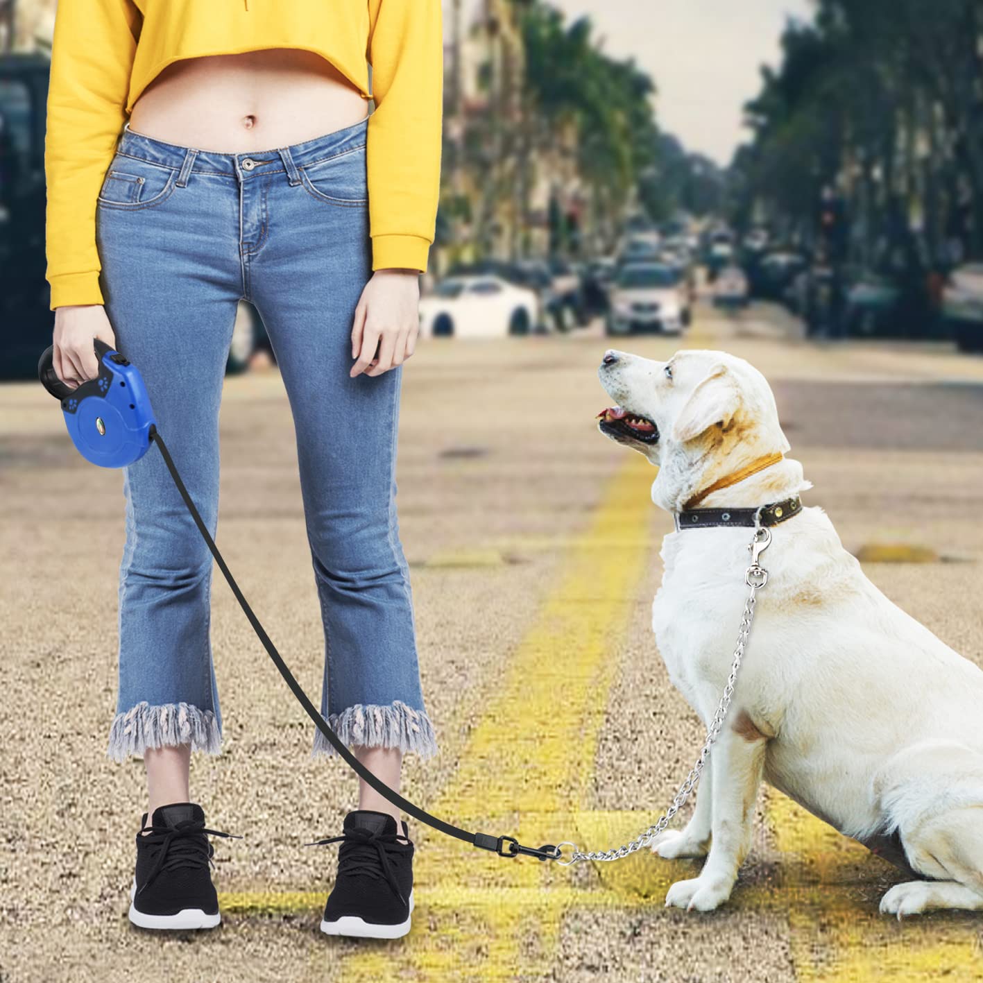 Idepet Heavy Duty Retractable Dog Leash For Small And Medium Dogs, Anti-Chewing Steel Chain 360 Degree Tangle-Free,Break And Lock System,16Ft Leash For Dog Walking (Blue, Flat Rope)