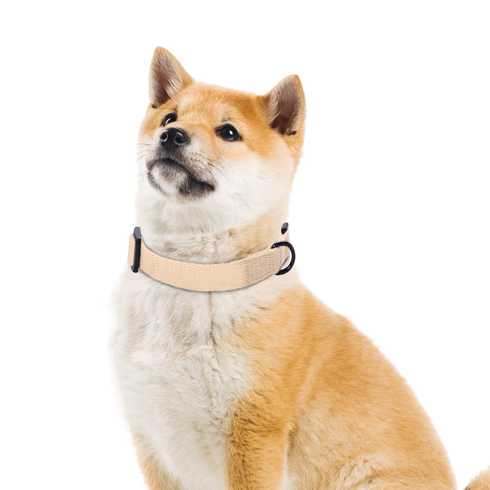 Mile High Life Soft & Strong Poly Cotton Adjustable Dog Collar With Quick Release Buckle For Small To Large Dogs(Khaki, Small Ne
