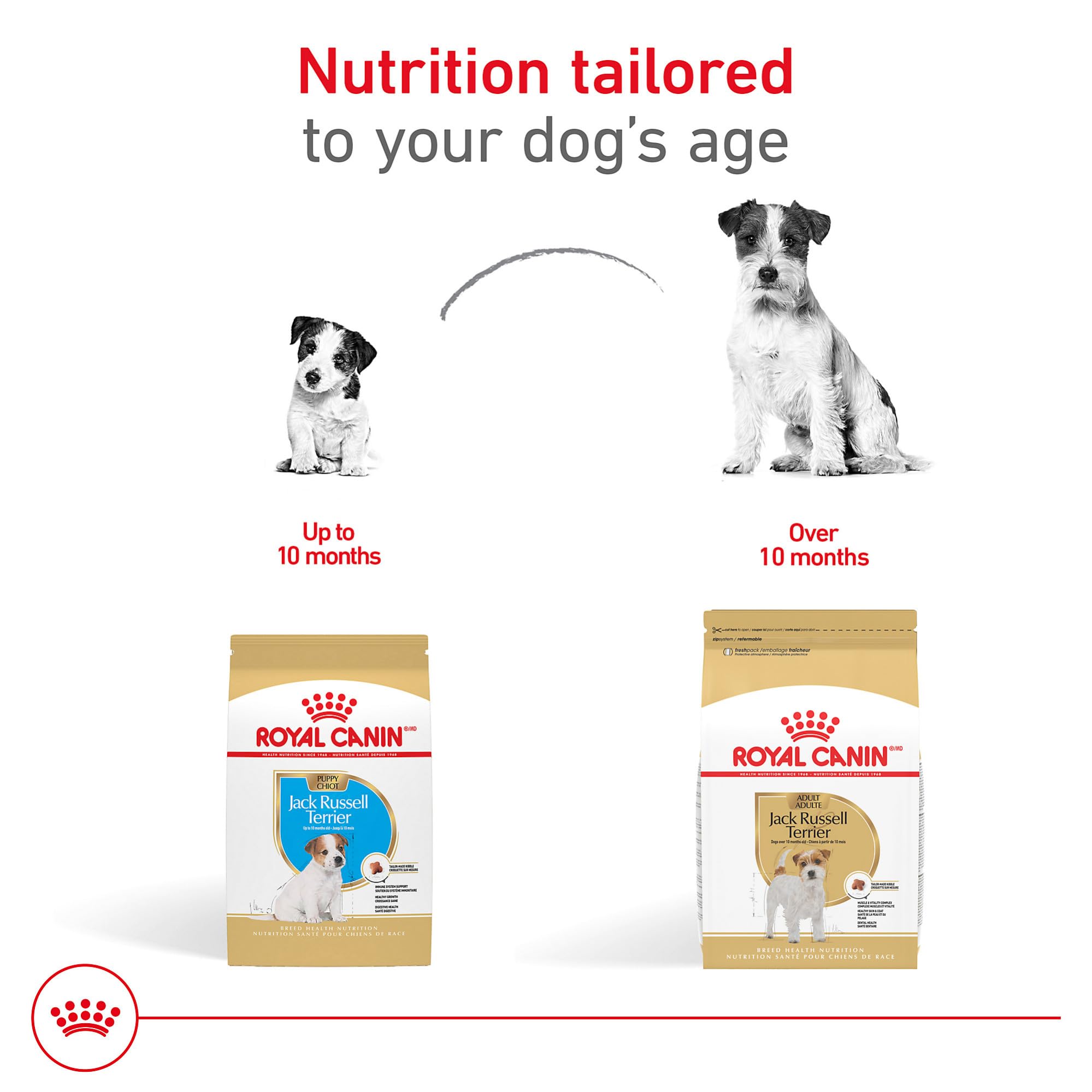 Royal Canin Breed Health Nutrition Jack Russell Terrier Puppy Dry Dog Food, 3 lb Bag