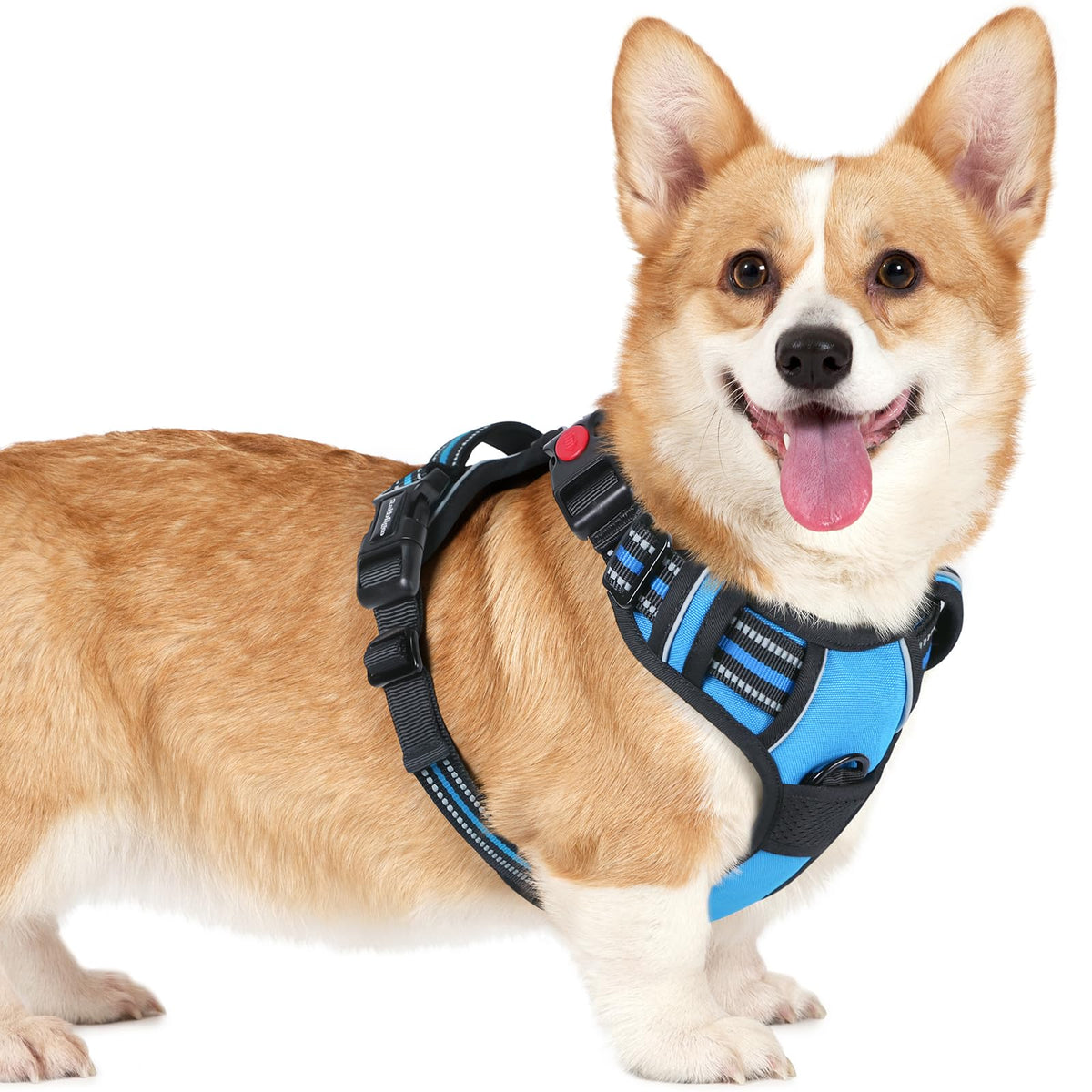 Rabbitgoo Dog Harness Small Sized, No Pull Pet Harness With 3 Buckles, Adjustable Soft Padded Pooch Vest With Instant Control Handle, Easy Walking Reflective Pet Vest For Small Dogs, Sky Blue, S