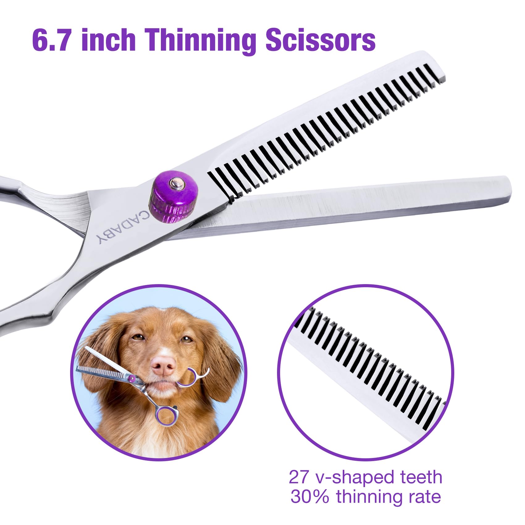 Cadaby Professional Dog Grooming Scissors With Safety Round Tips, 3 In 1 Dog Grooming Scissors Kit, 4Cr Stainless Steel Pet Groo