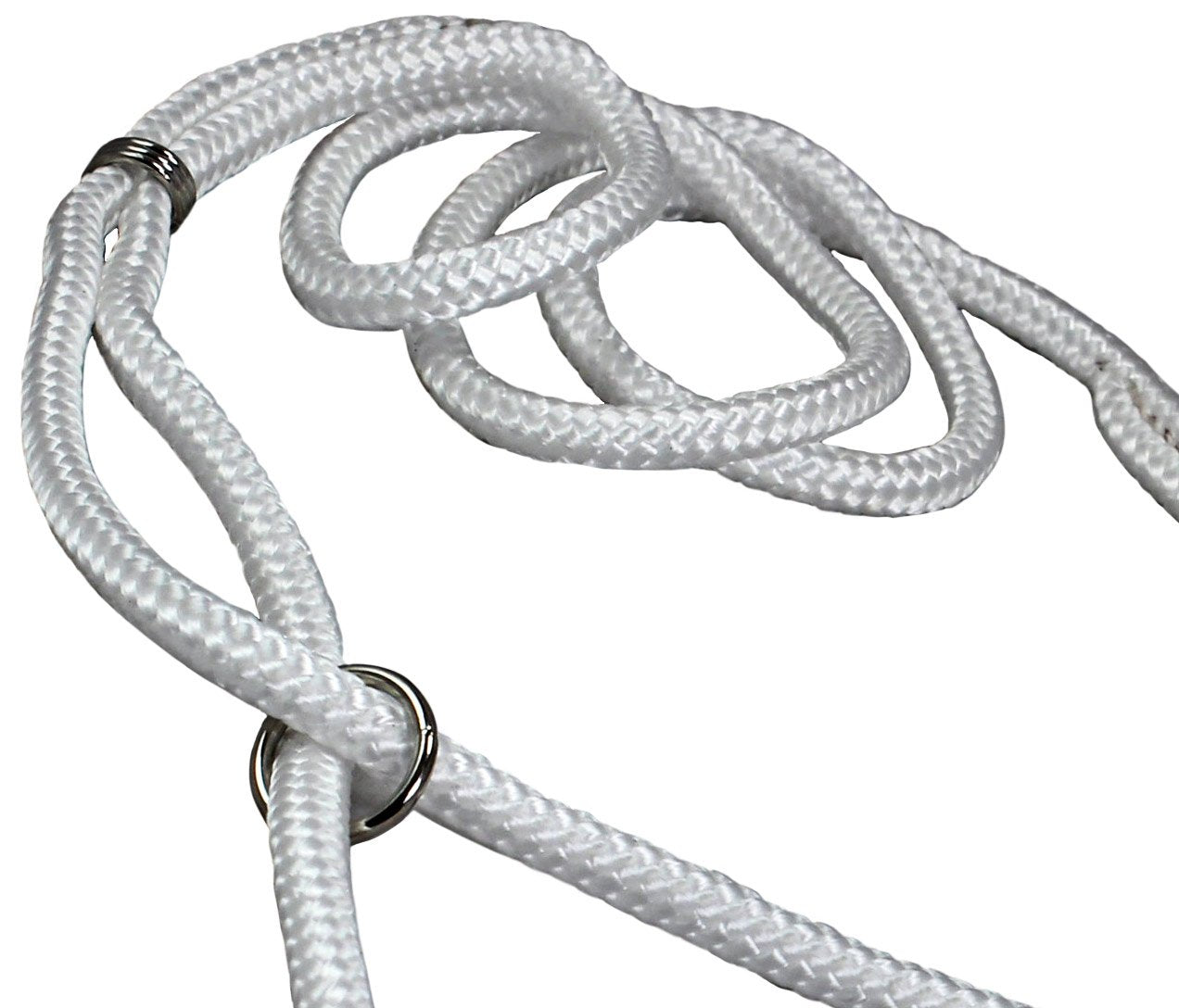 Dog Show Lead Braided Tubular Nylon 52' Long (Small: Diam 1/4'(6Mm), White)