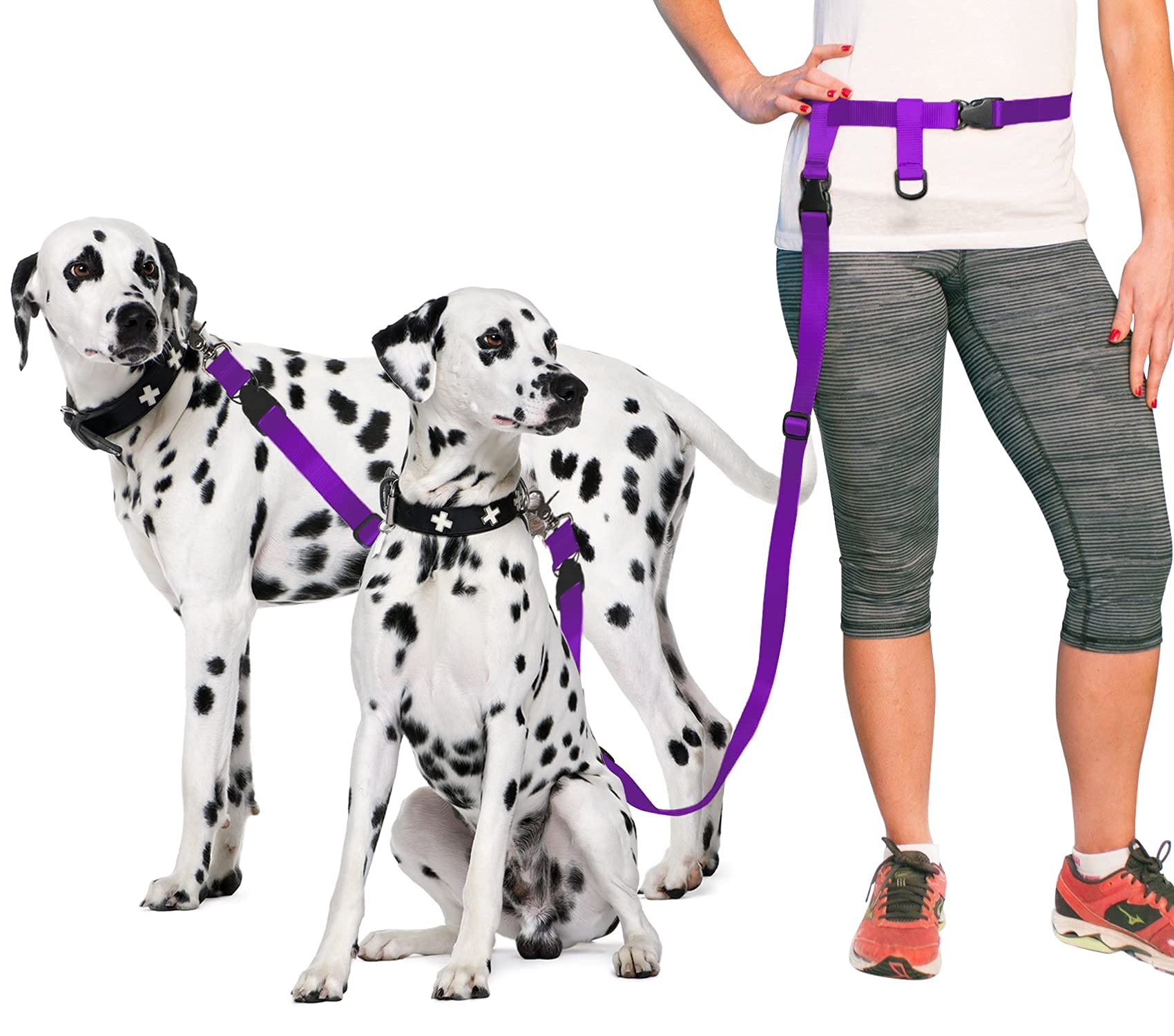 The Buddy System Accessories For Our Dog Leashes Made In Usa (Double Buddy, Regular Dog Purple)