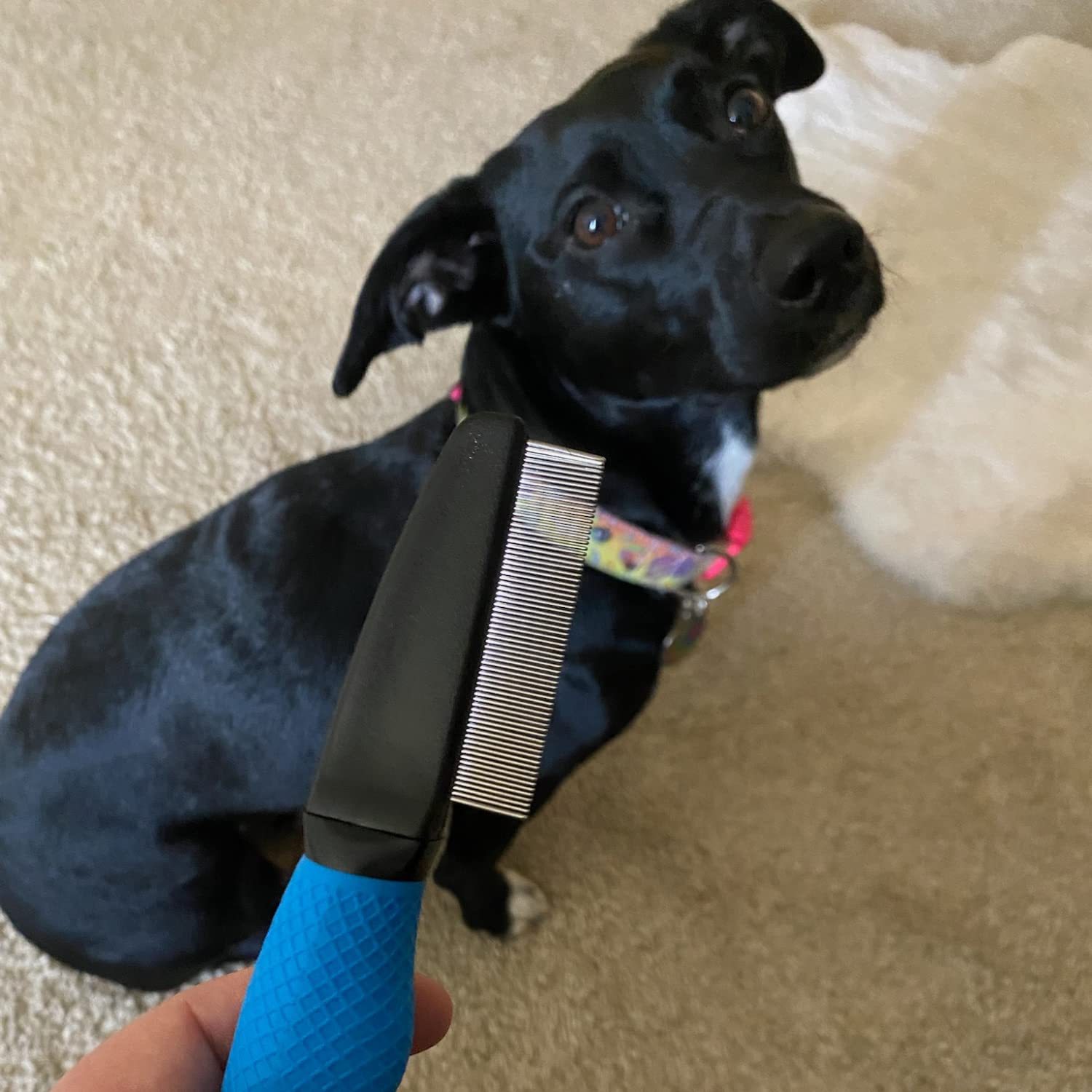 Snuggle Puppy Grooming - Flea Comb For Dogs - Helps Remove Fleas From Pets