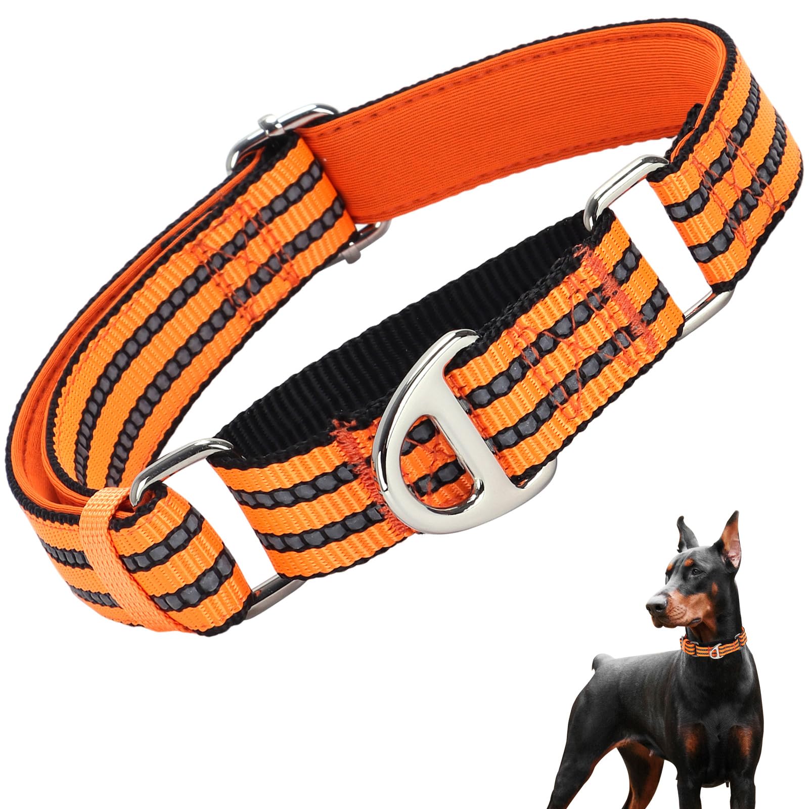 Martingale Collar For Dogs, Reflective Nylon No Pull Choke Collar With Padded Comfort, Metal D-Ring & No Buckle For Training, Wa