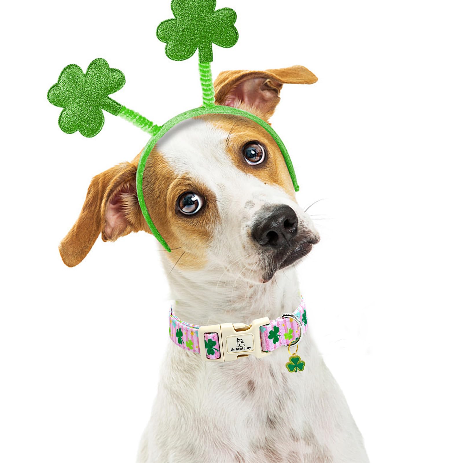 Lionheart Glory St. Patrick Dog Collar-Lucky Clover Shamrock Pink Collars For Medium Dogs Spring Female Trefoil Dog Collar Adjus