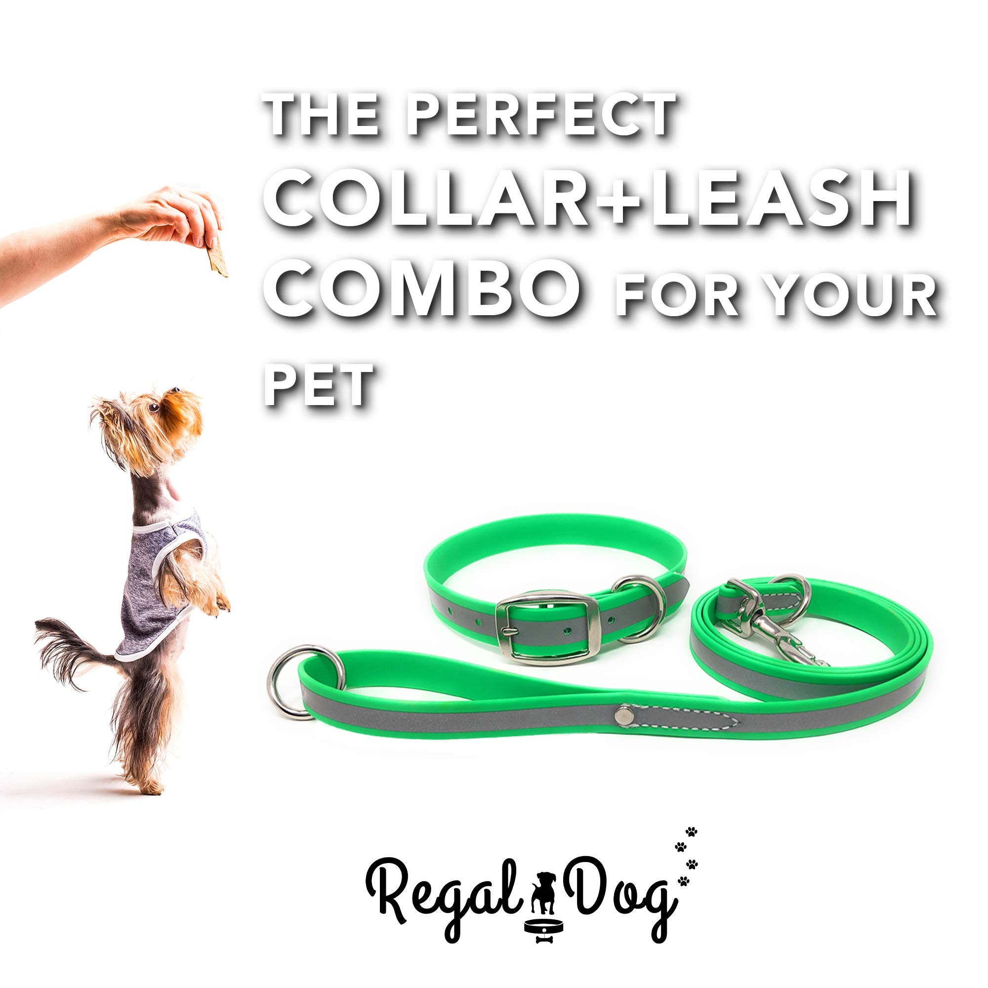 Regal Dog Products Small Lime Green Reflective Dog Collar And Leash Set - Waterproof Biothane Dog Collar With Heavy Duty Double