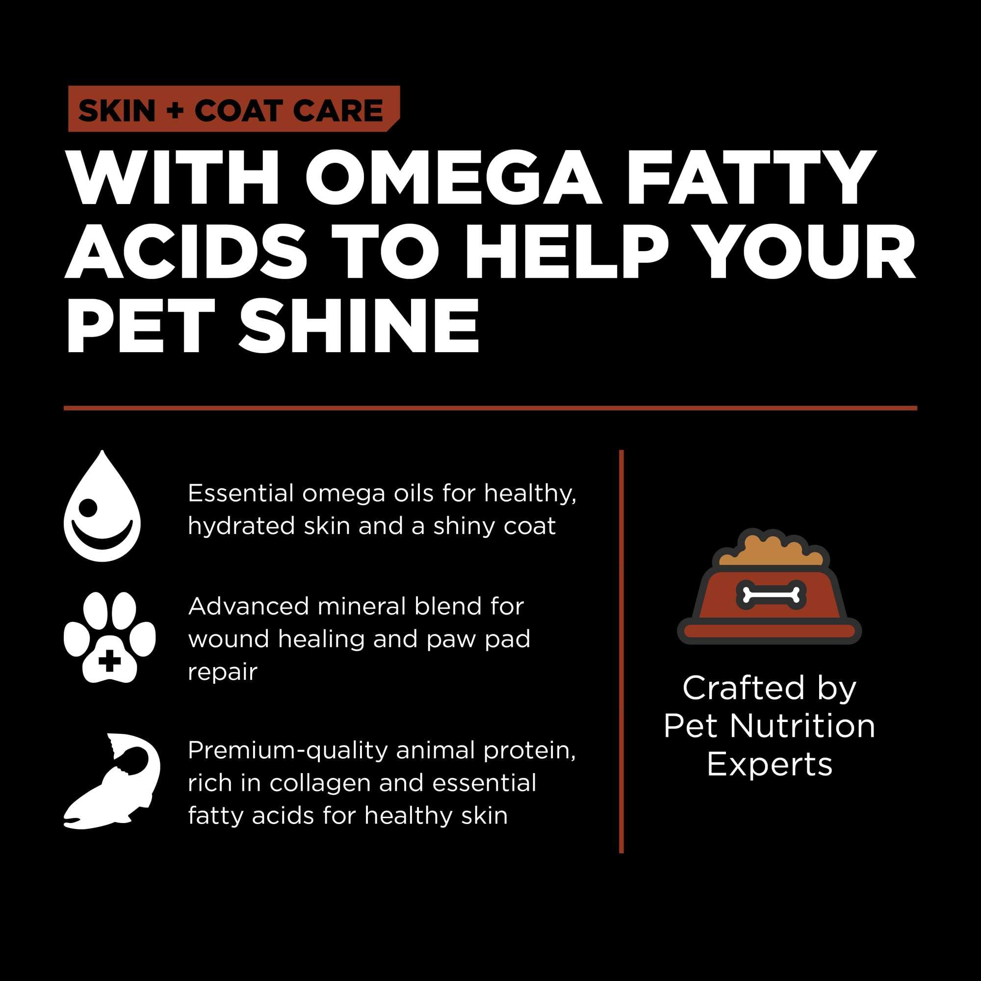 Go! Solutions Skin + Coat Care, Dry Dog Food, Large Breed Adult Salmon Recipe with Grains, 25 lb Bag