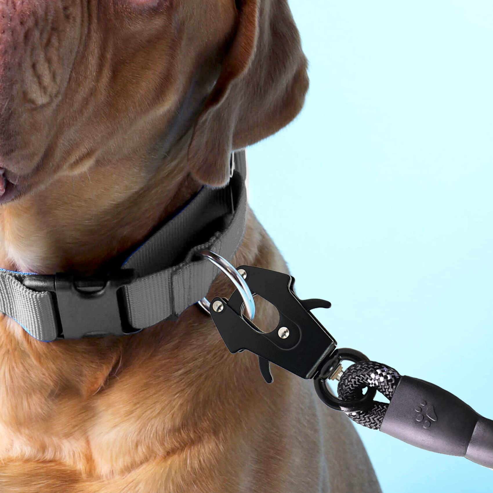 Heavy Duty Dog Leash Clips - Small Quick Release And Lock Snaps - Frog Clip (Ring 1' X 2)