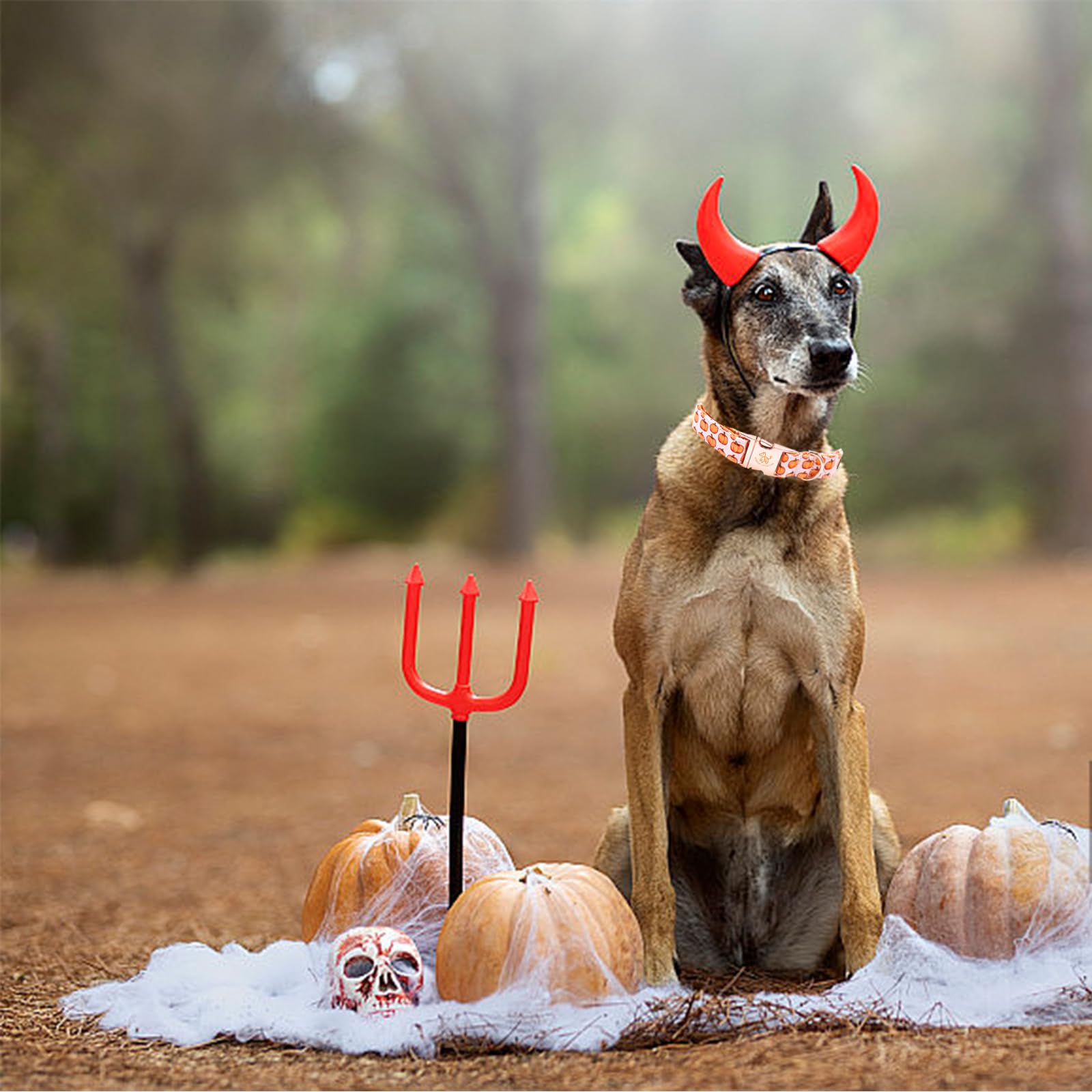 Elegant Little Tail Dog Collar - Halloween Pumpkin Print Pet Collar For X-Large Dogs, Puppies, Girls And Boys - Cotton With Meta