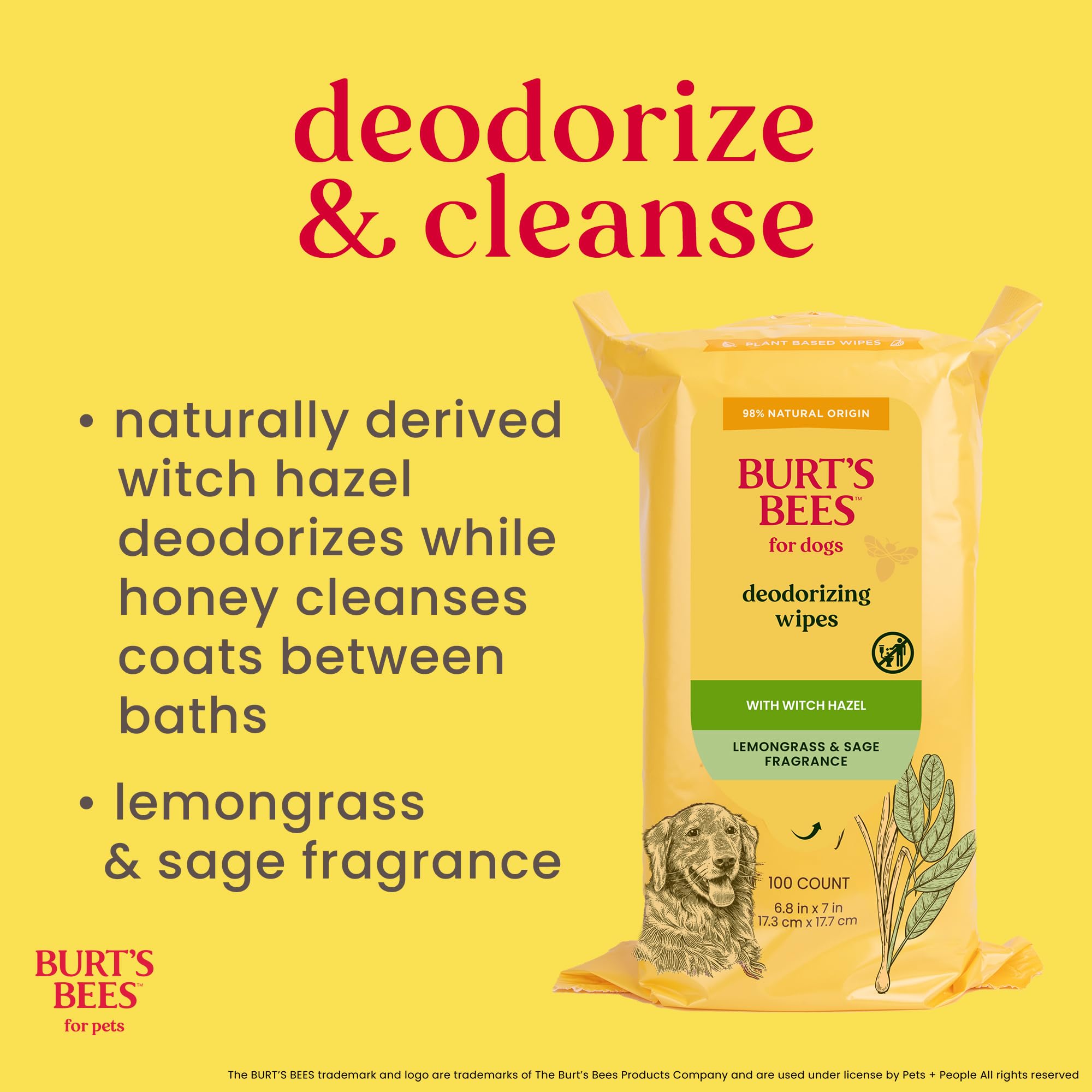 Burt'S Bees For Pets Deodorizing Dog Wipes With Witch Hazel, Lemongrass And Sage Fragrance, 98% Natural Origin Formulas, Dog Wip