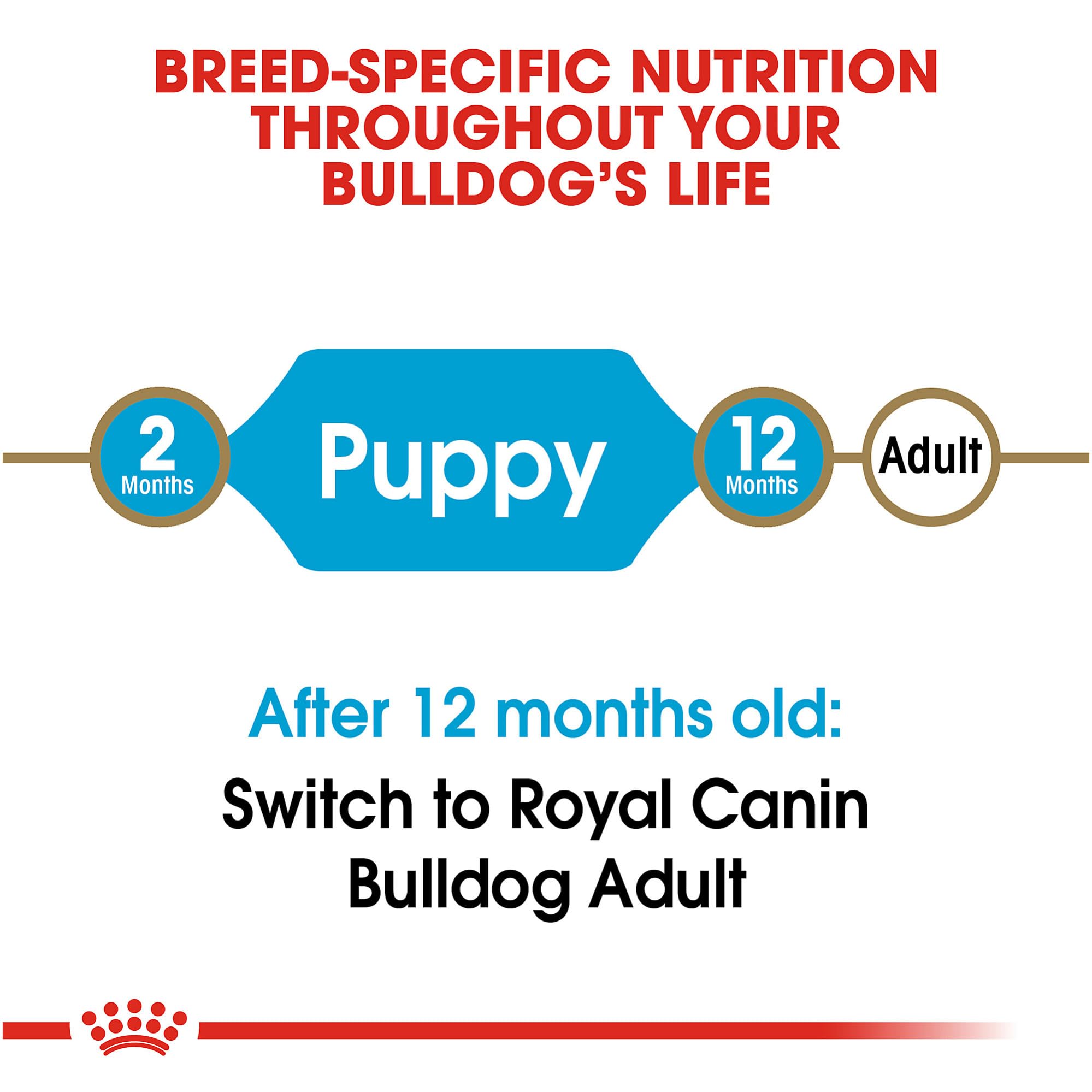 Royal Canin Bulldog Puppy Dry Dog Food, 6 lb bag