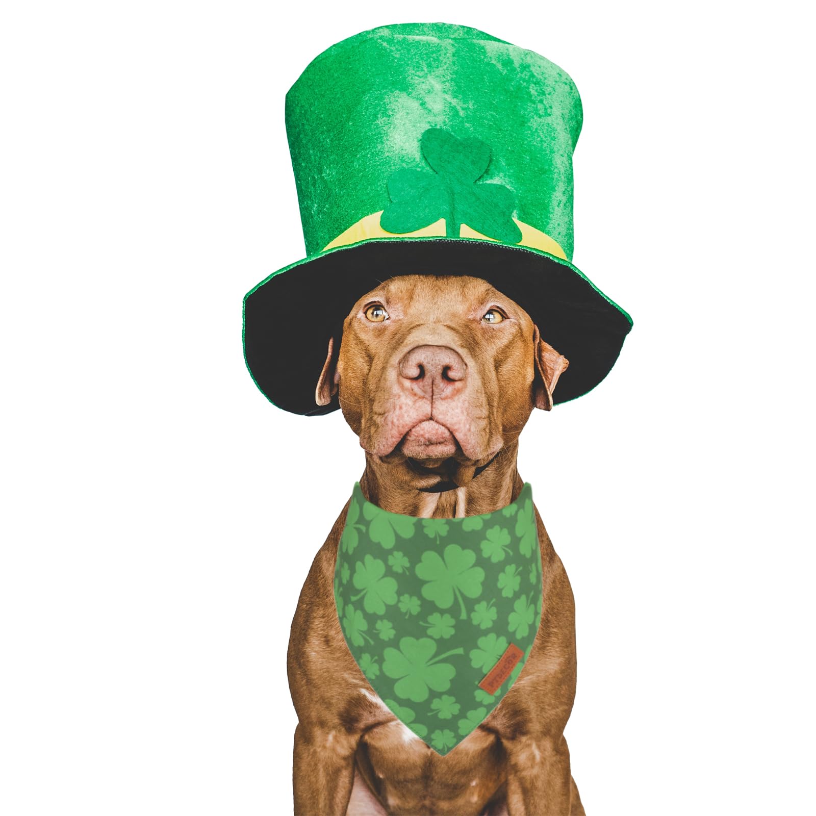 Ptdecor St. Patrick'S Day Dog Bandana, Reversible Dog Scarf, Multi Size Offered, Green Shamrock Pet Bandanas For Large And Extra