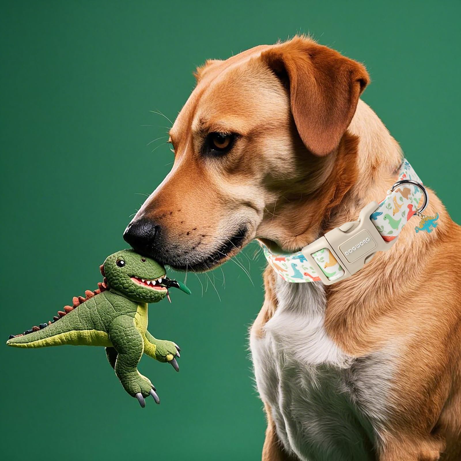 Dogwong Whale Cotton Dog Collar, Summer Cute Shark Dog Collar Durable Soft Fabric Male Pet Dog Collars Boy Puppy Necklace For Sm