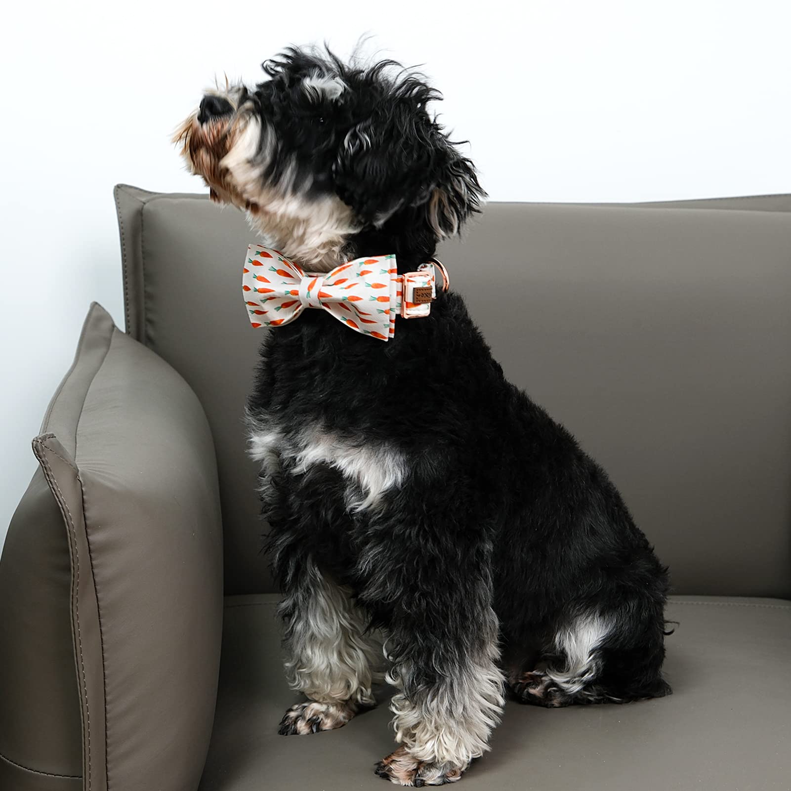 Mr.Chubbyface Orange Dog Easter Collar With Bow, Soft Cotton & Metal Buckle, Adjustable Size L, Gps Tracking, Unisex, Medium Bre